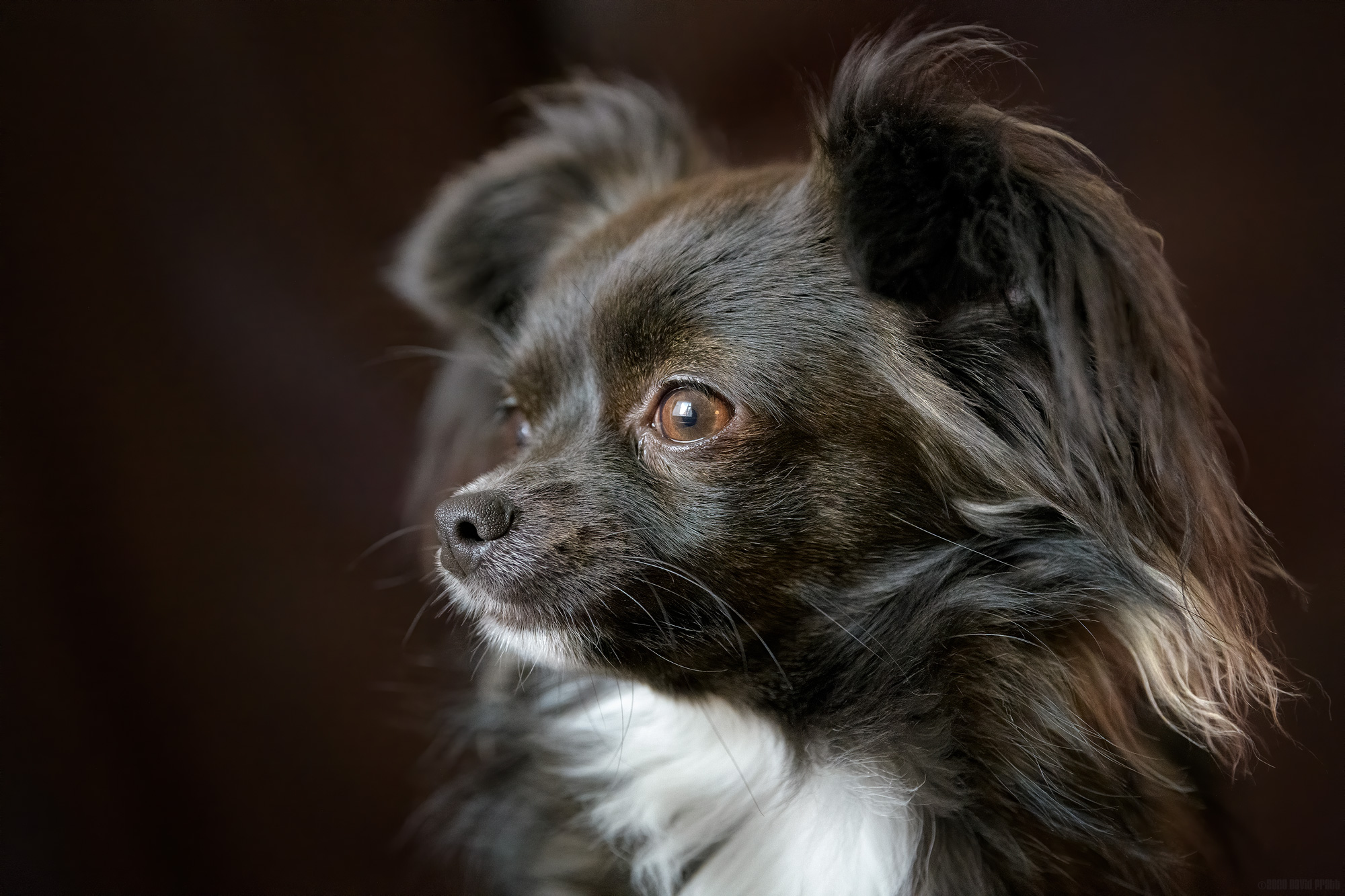 Watching The World Outside My Window