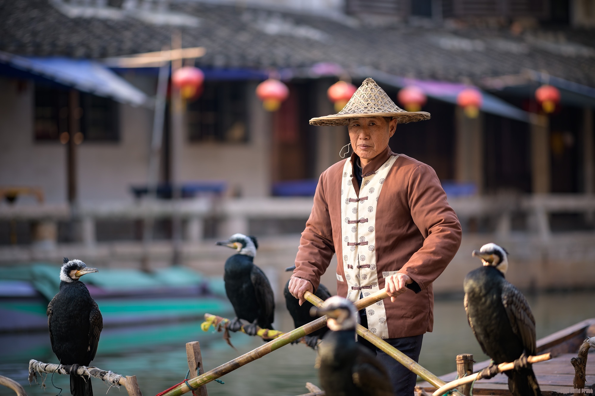 The Bird Man Of Tongli