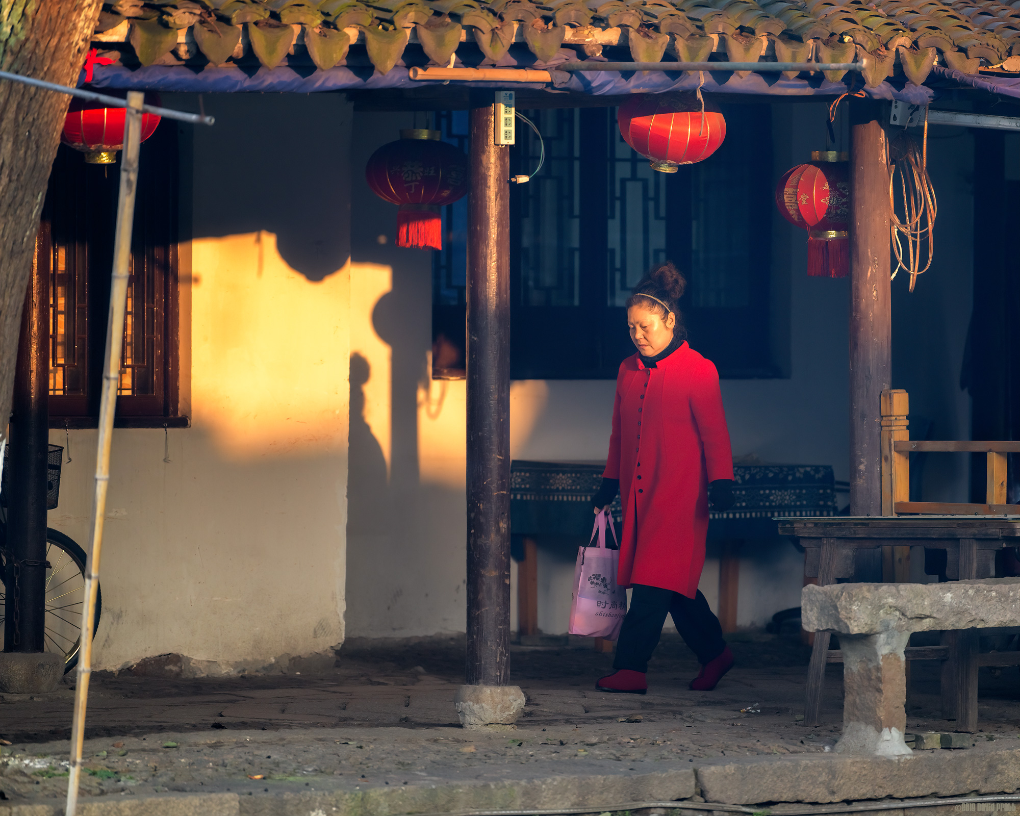 Early Morning Walker