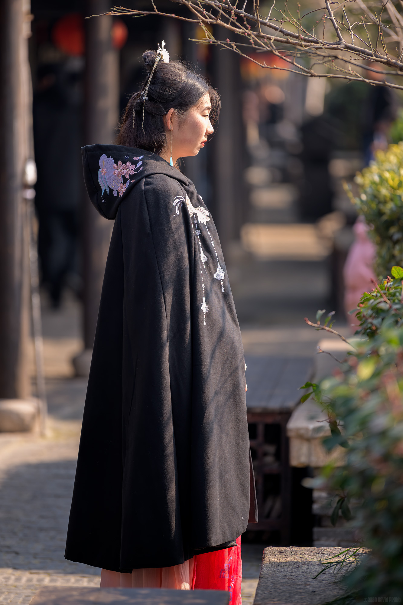 Posing For Her Portrait