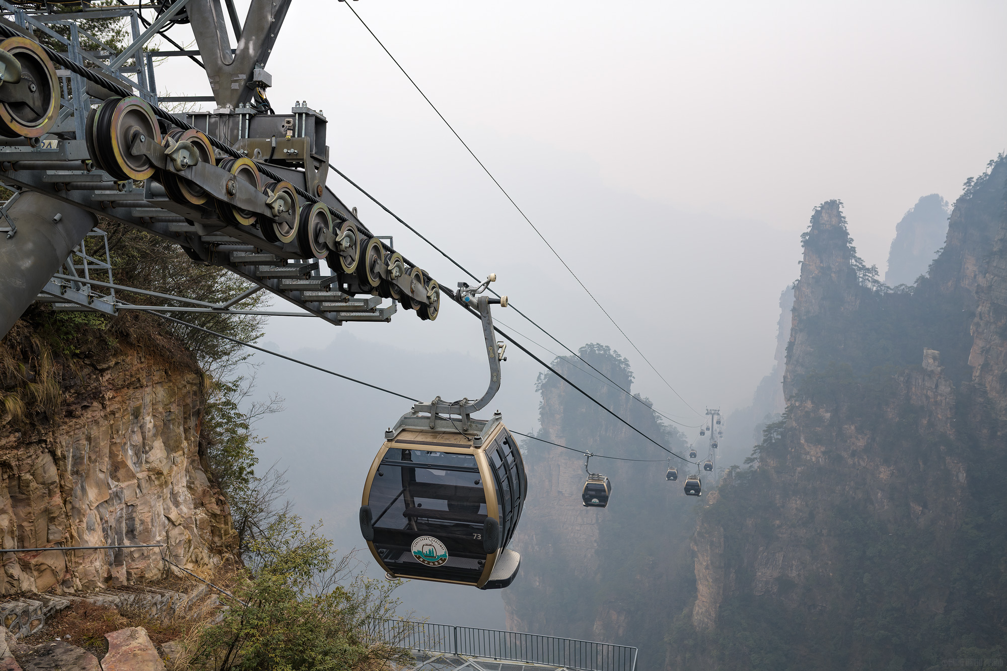 Rising Up Through The Mist