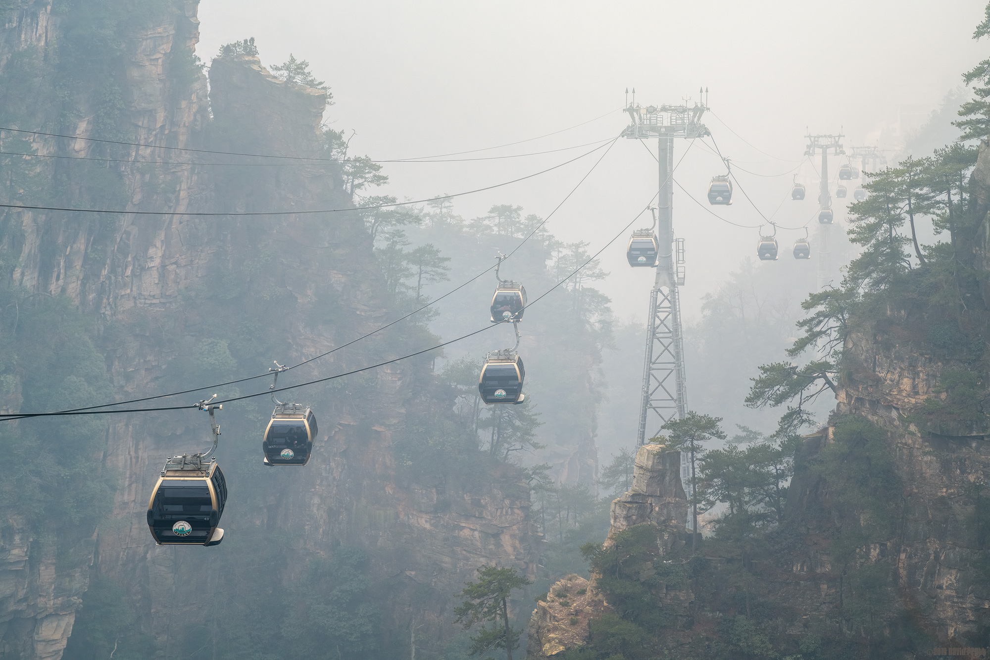 Welcome To The Jungle