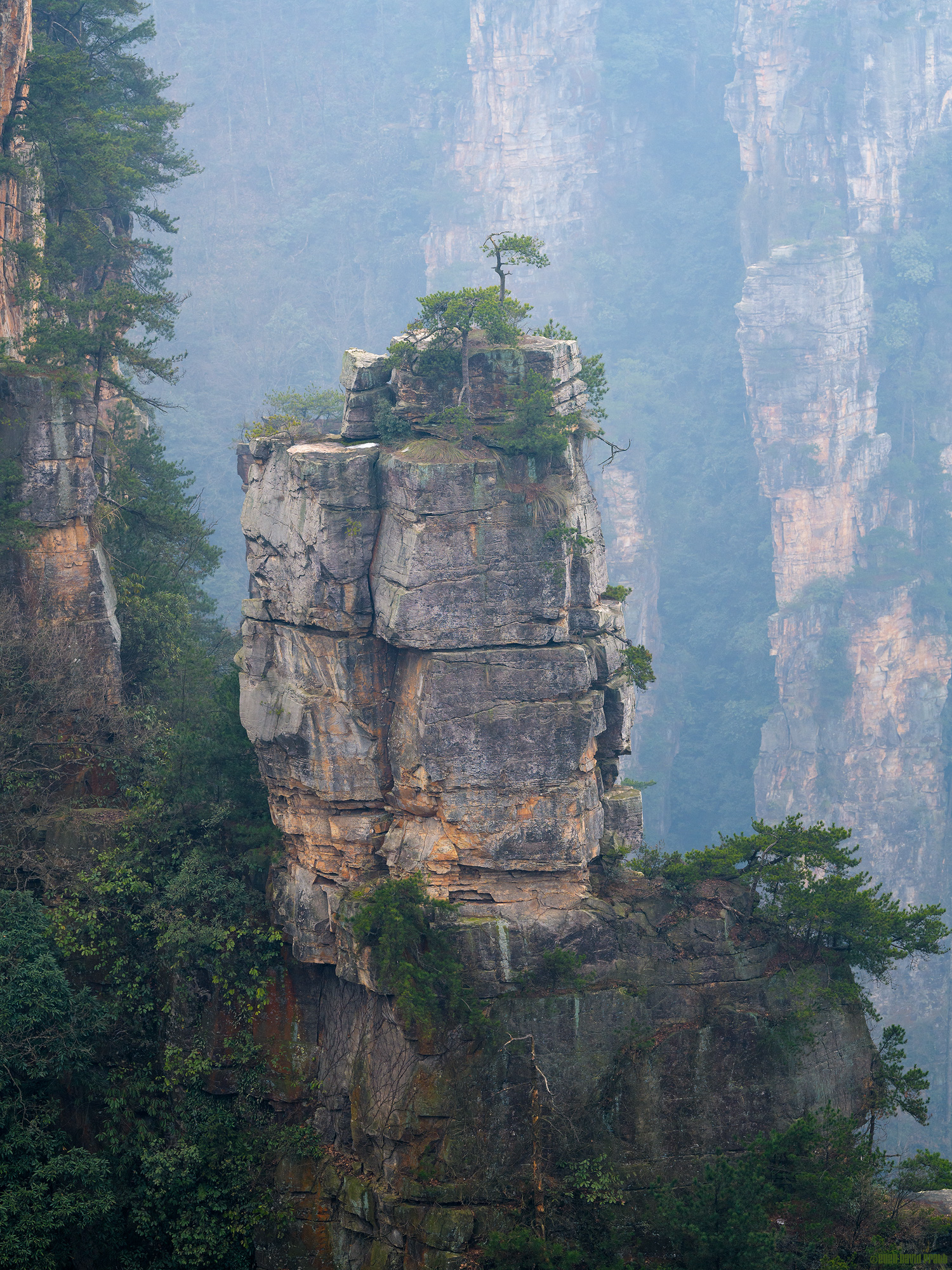 The Slow Race To The Top