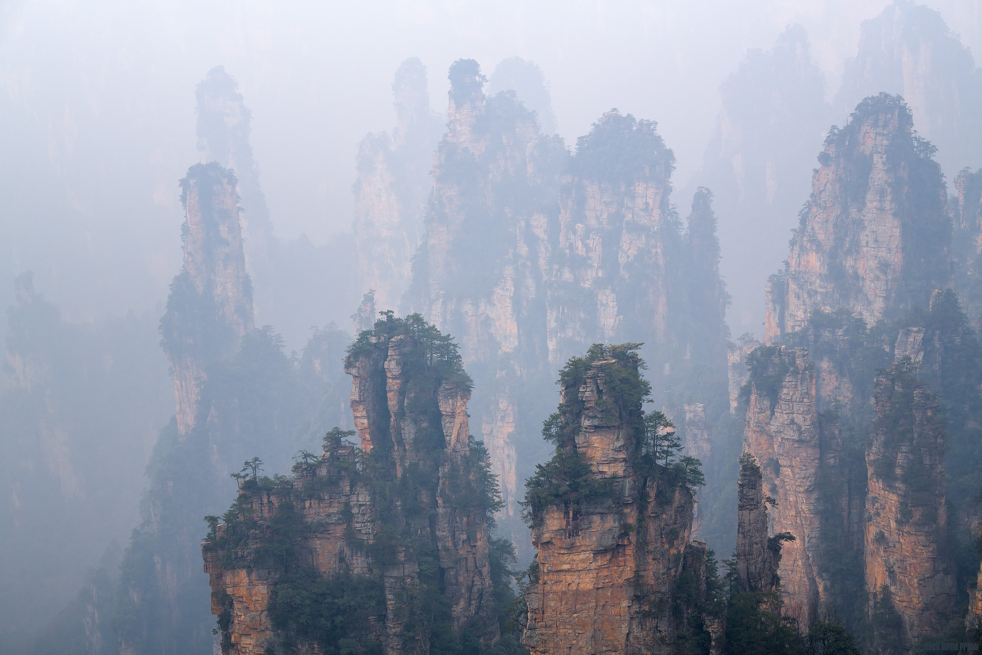 Sandstone Peak Forest