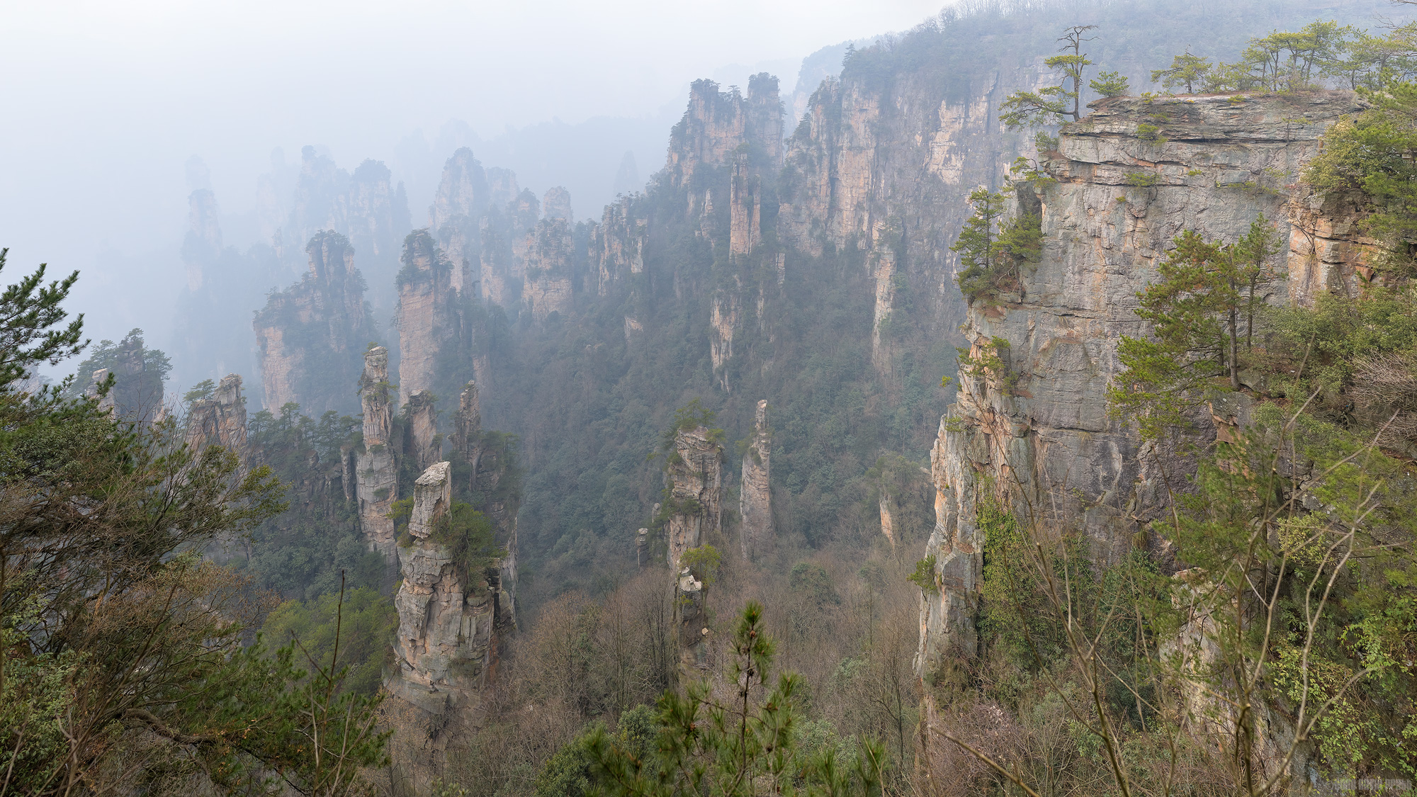 It's A Jungle Out There