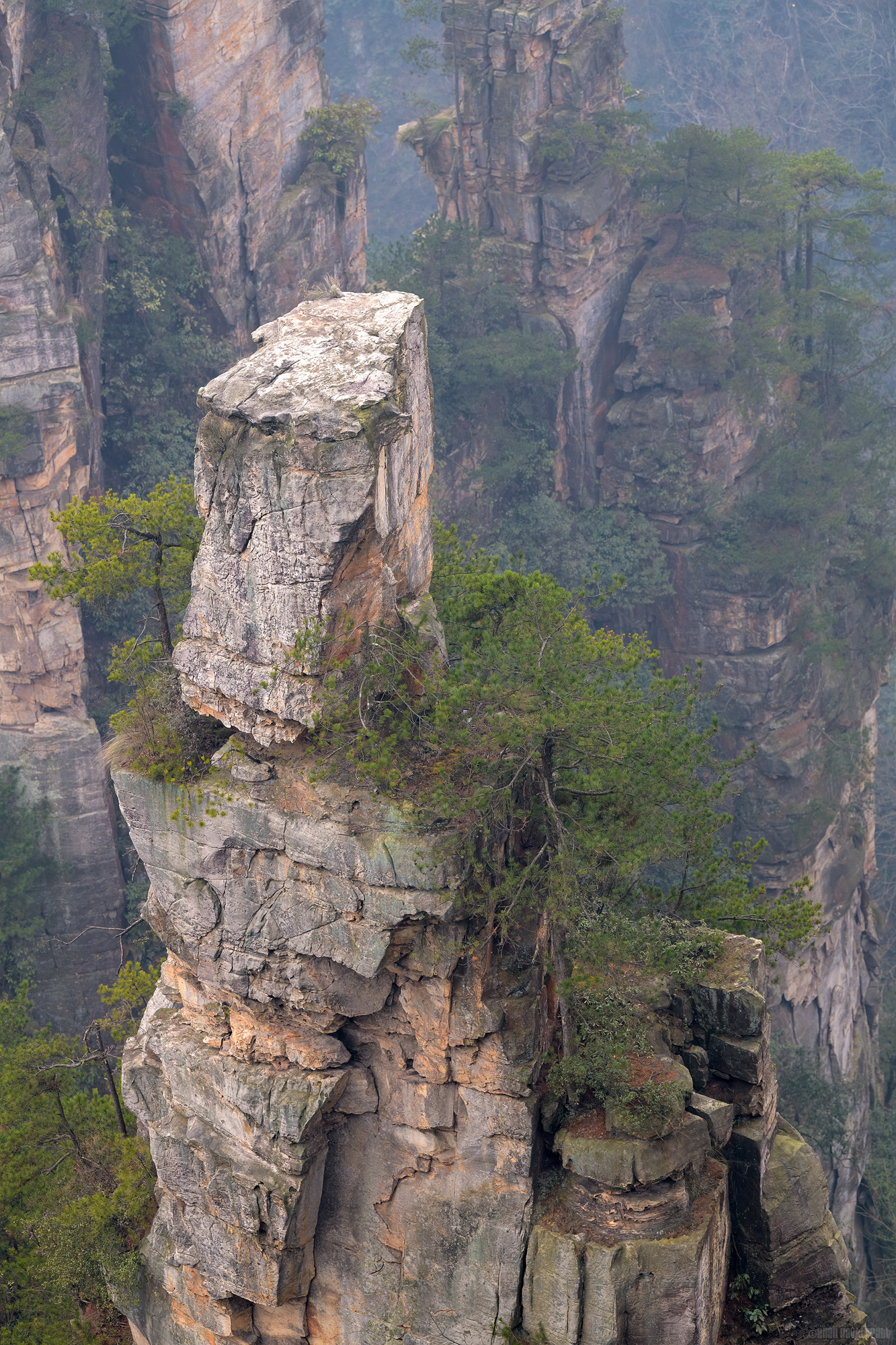 Waiting For The Hammer To Fall