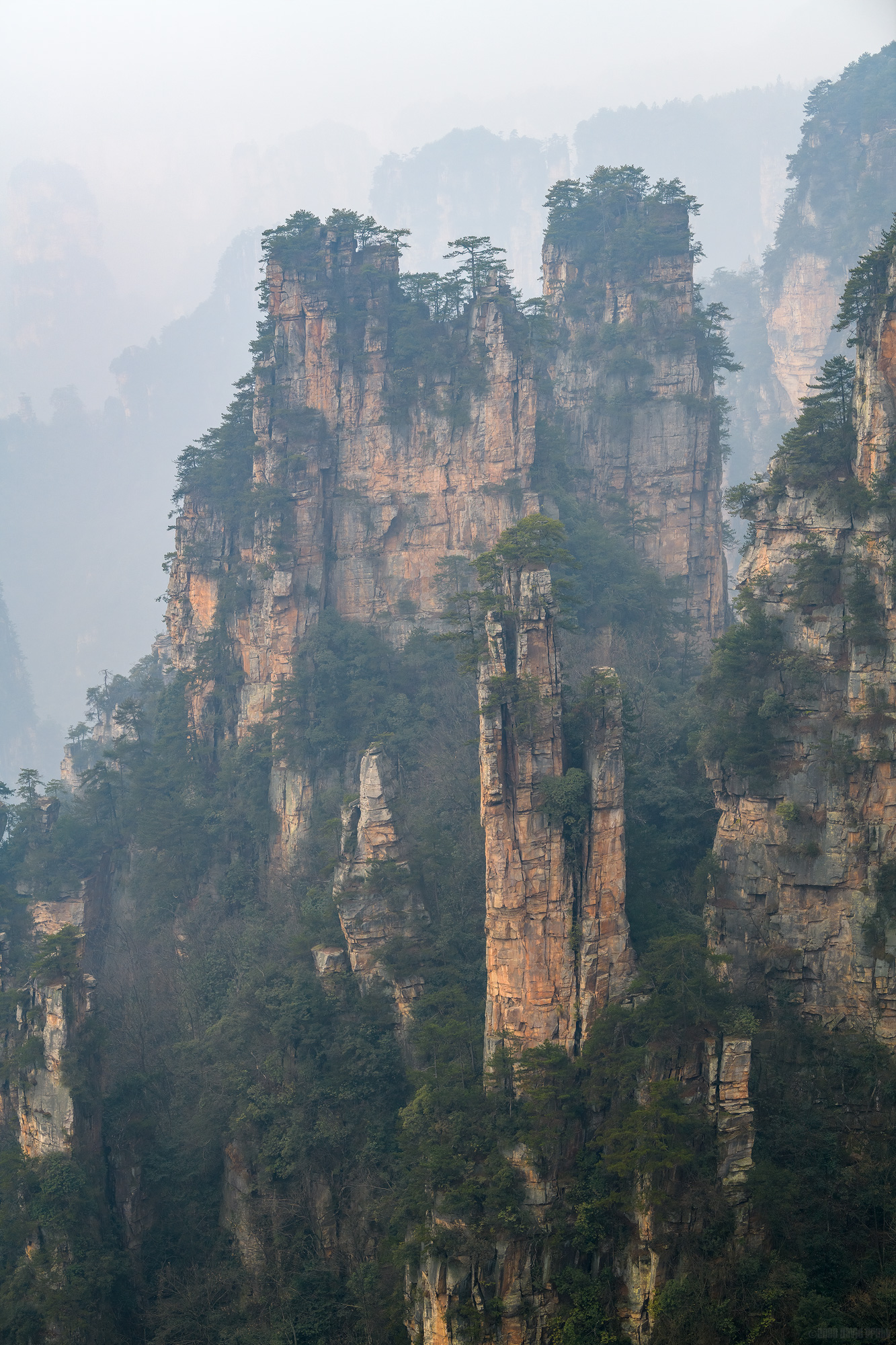 The Sandstone Jungle