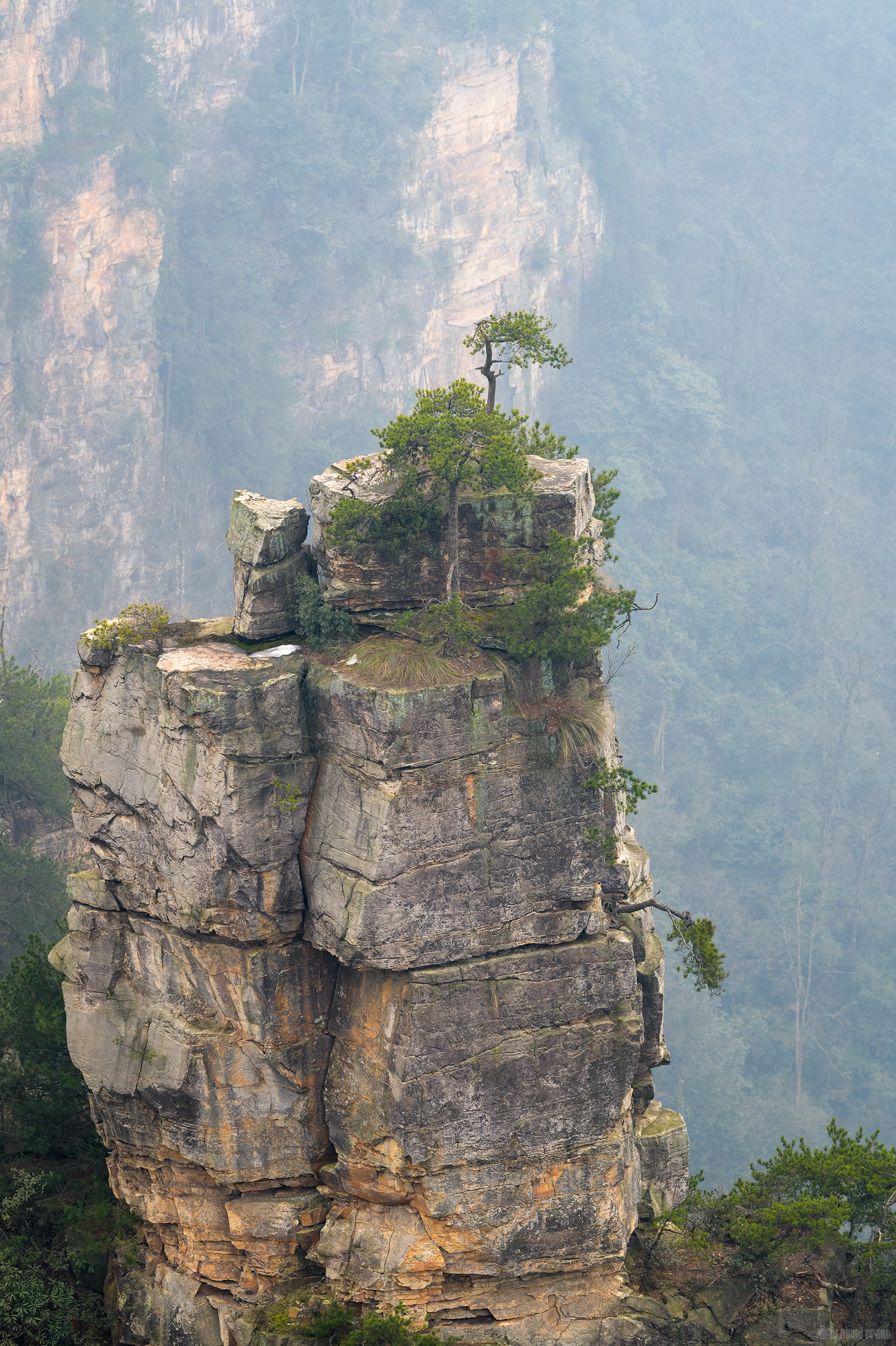 The Struggle At The Top