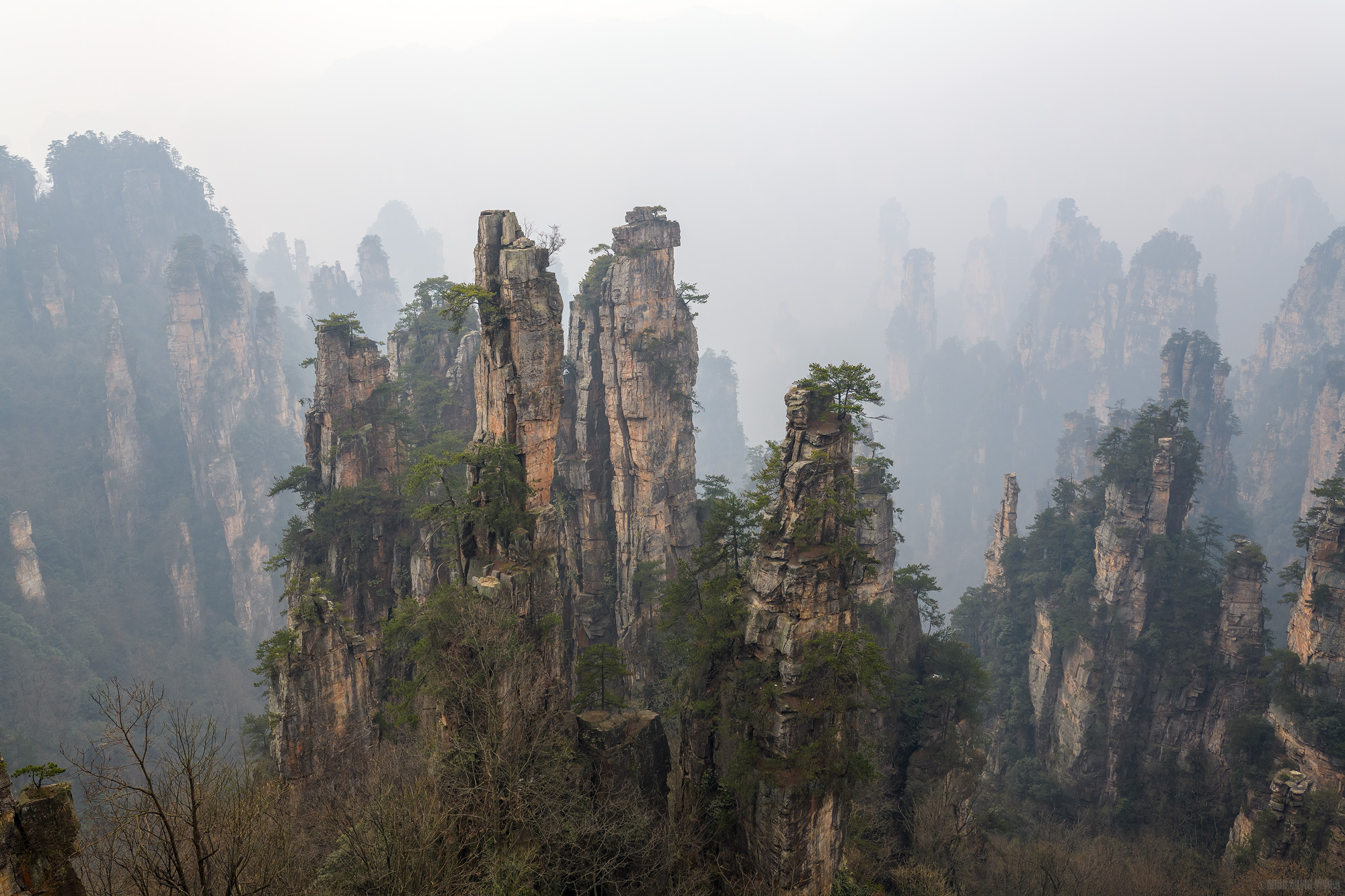 Disappearing Into The Mist