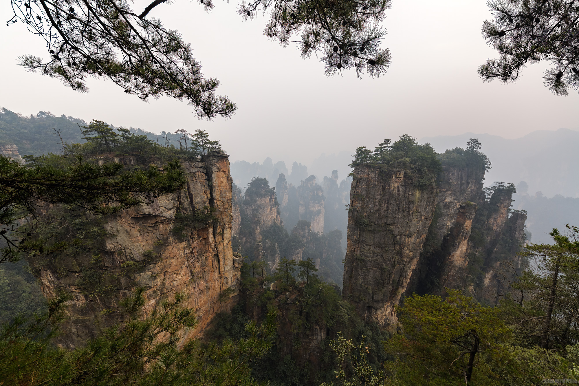 Looking Out Over Zhangjiajie