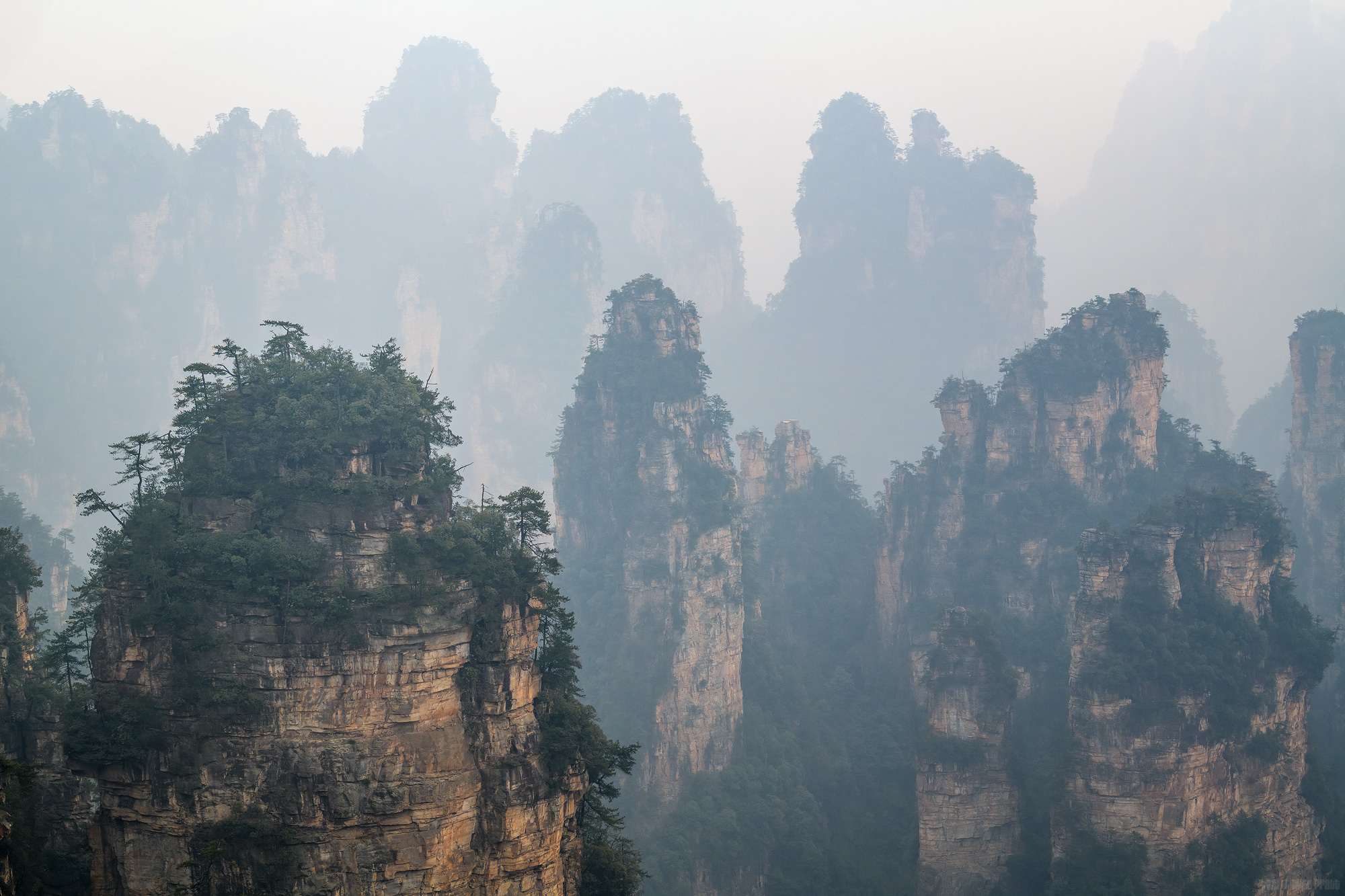 Peering Through The Mist