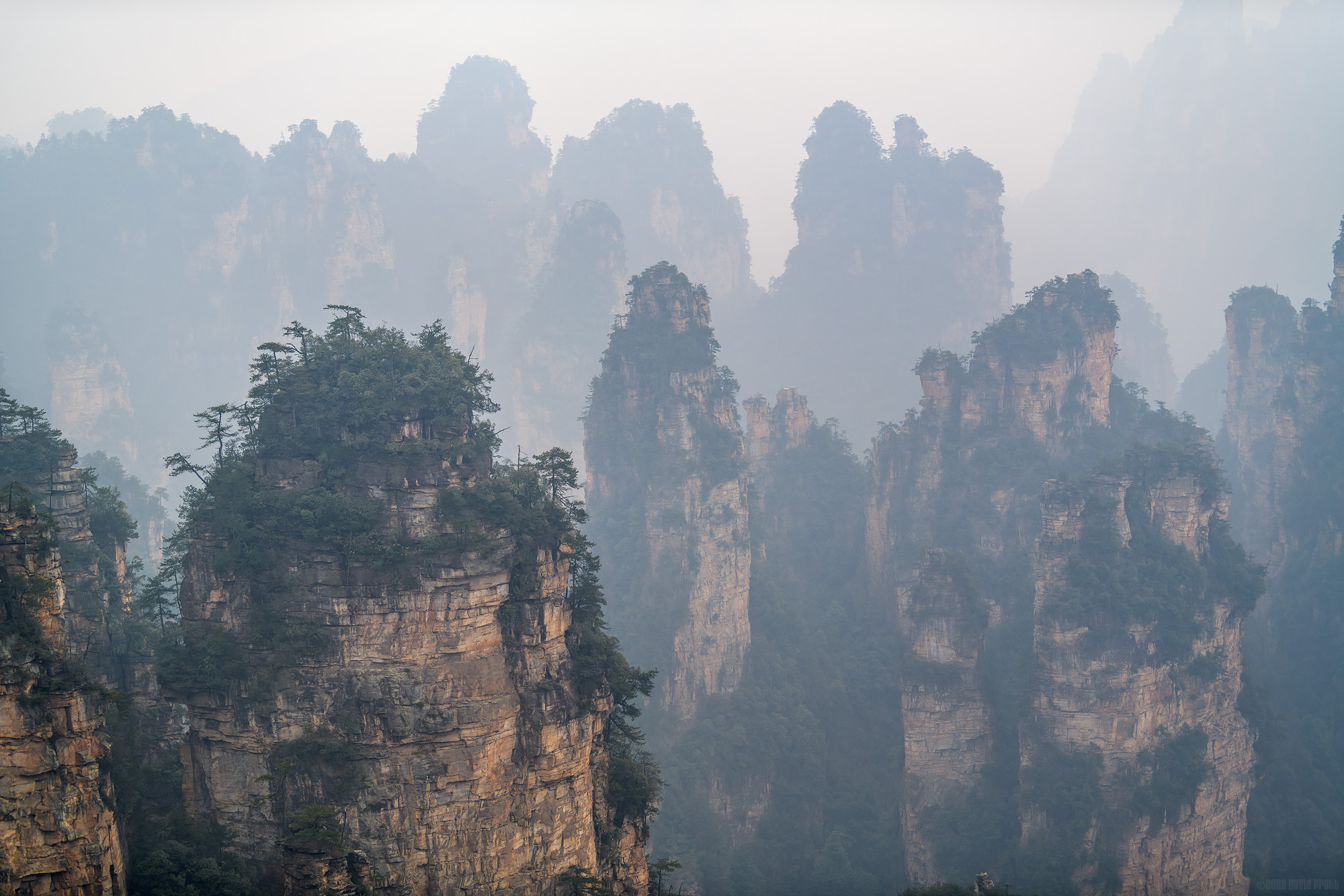 Lost In The Mists Of Time