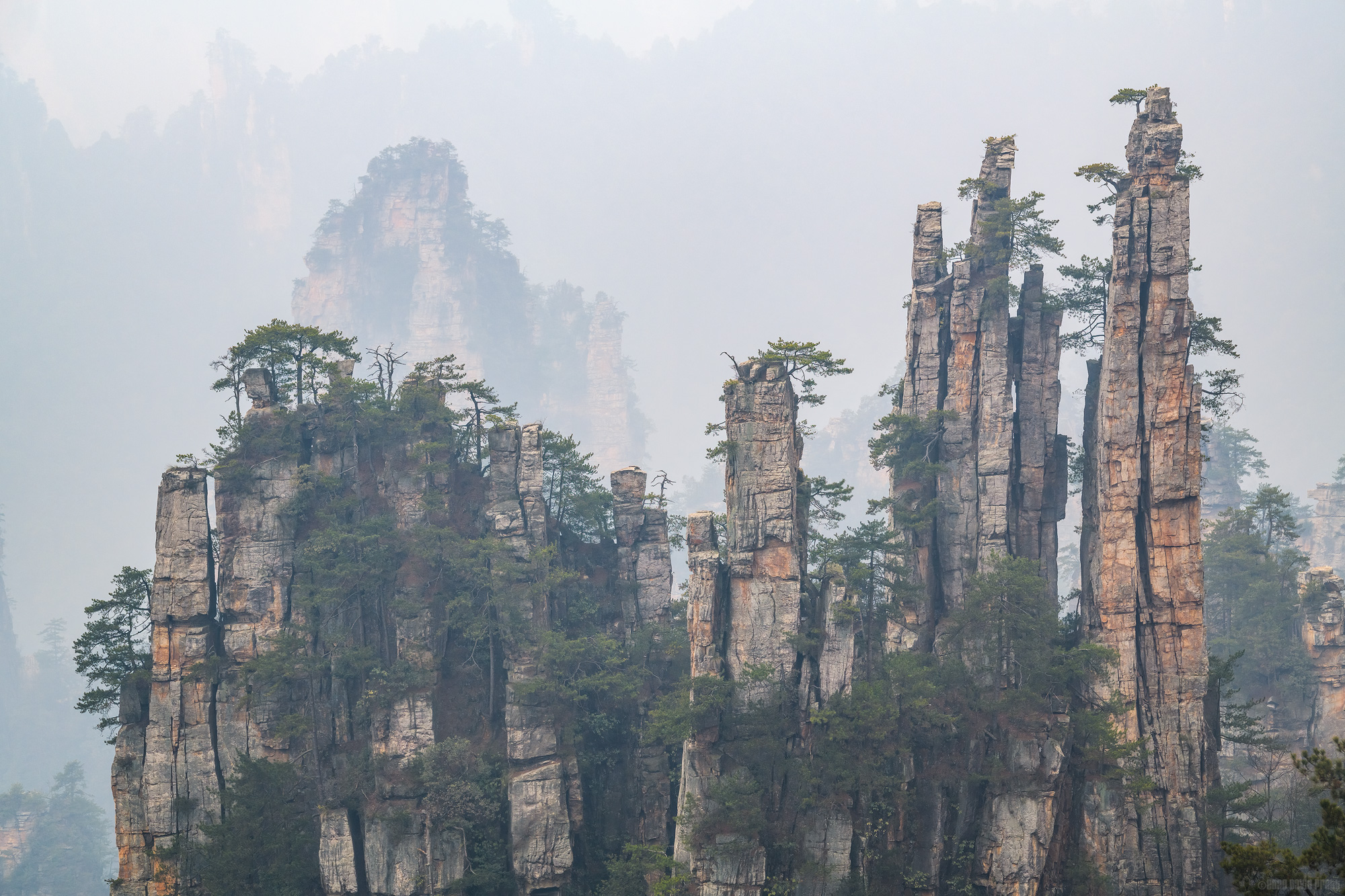 The Imperial Writing Brush Set