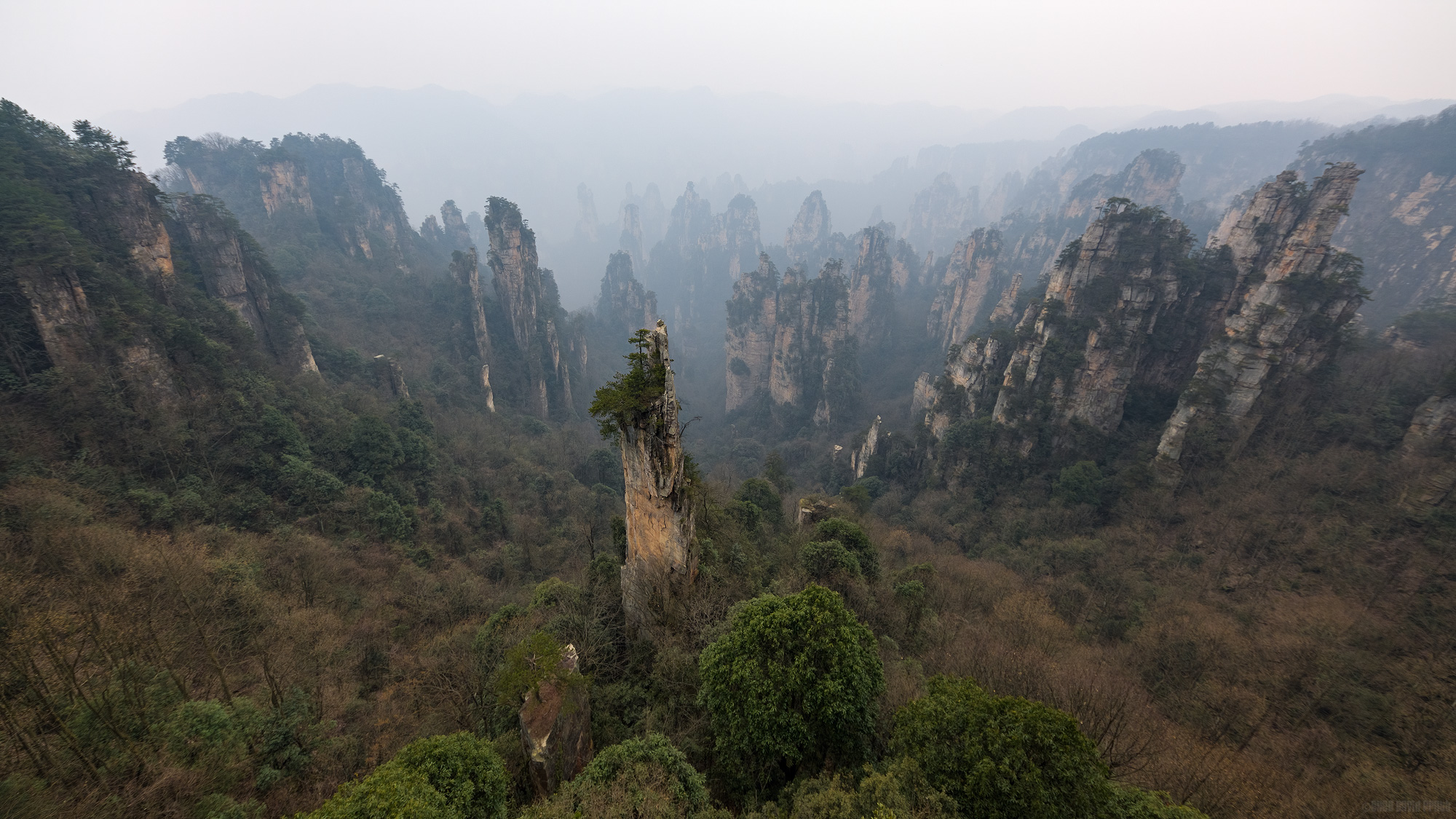 The Warrior That Stands Alone