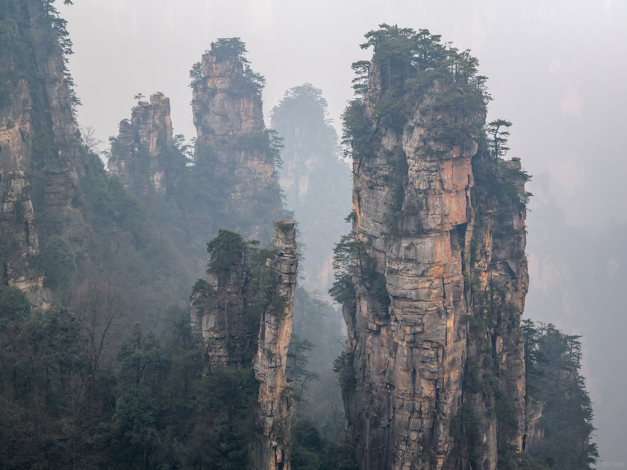 Pillars In The Mist