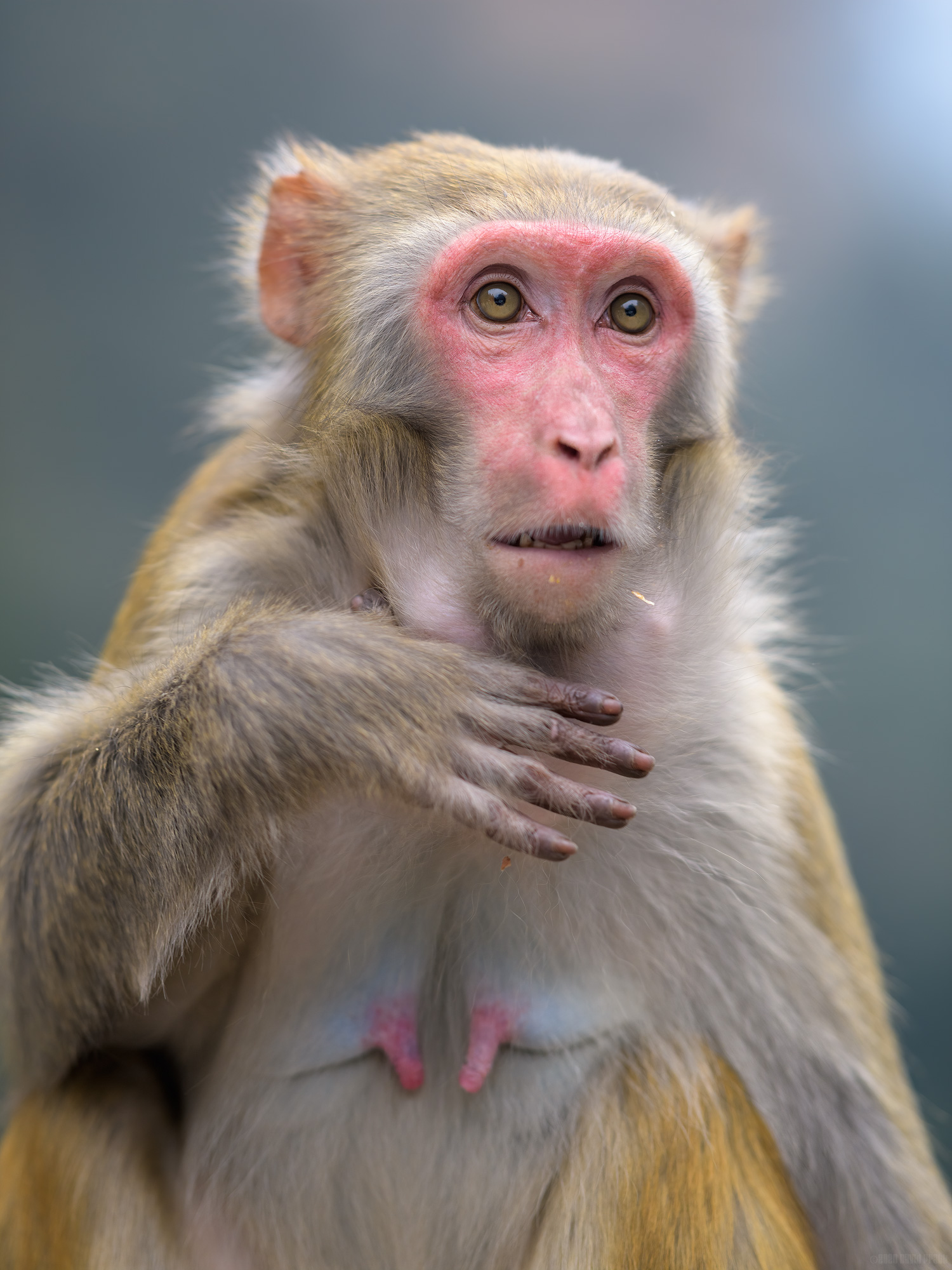 Surprise In Her Eyes