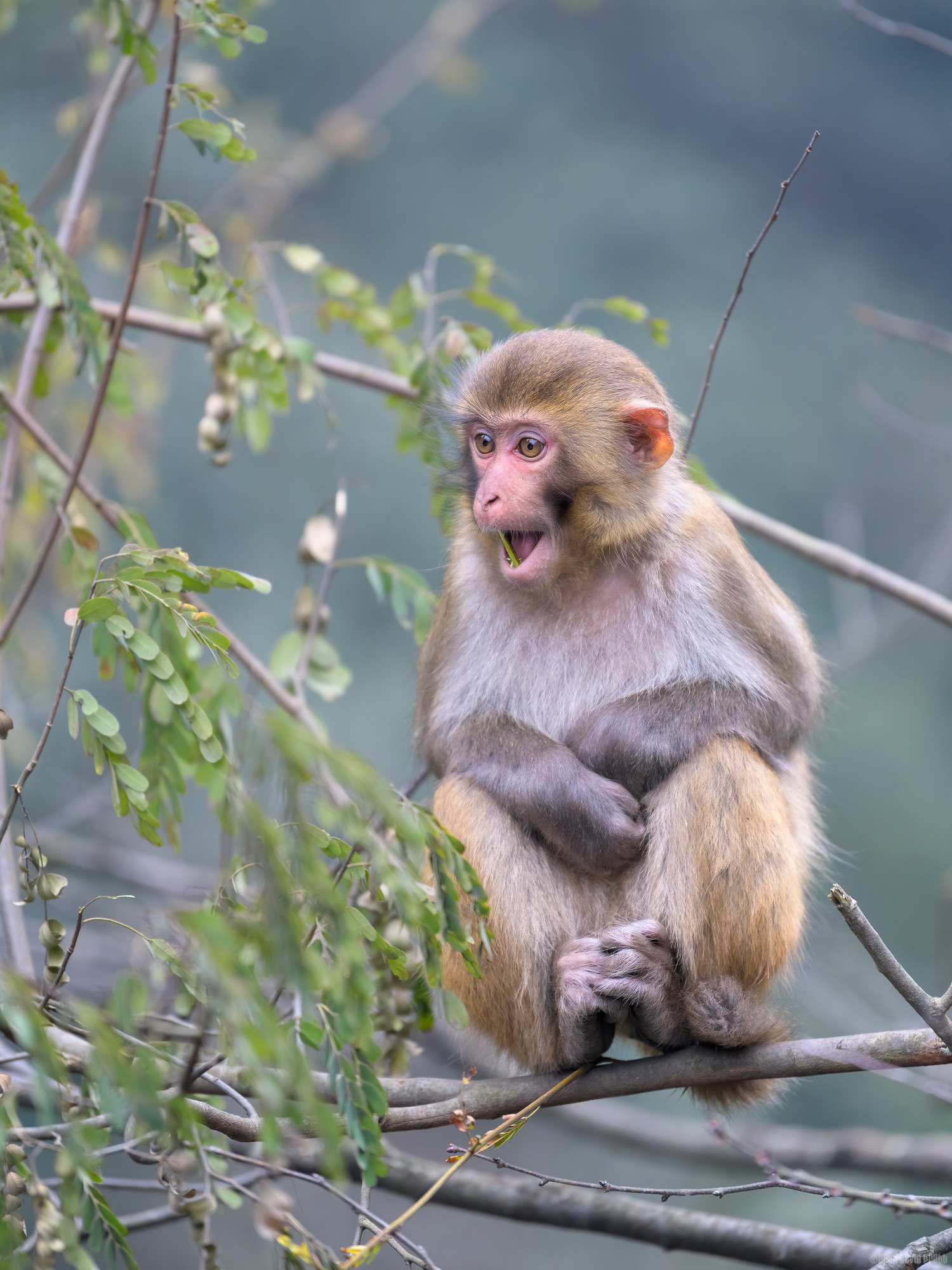 I Have This Weird Feeling In My Mouth