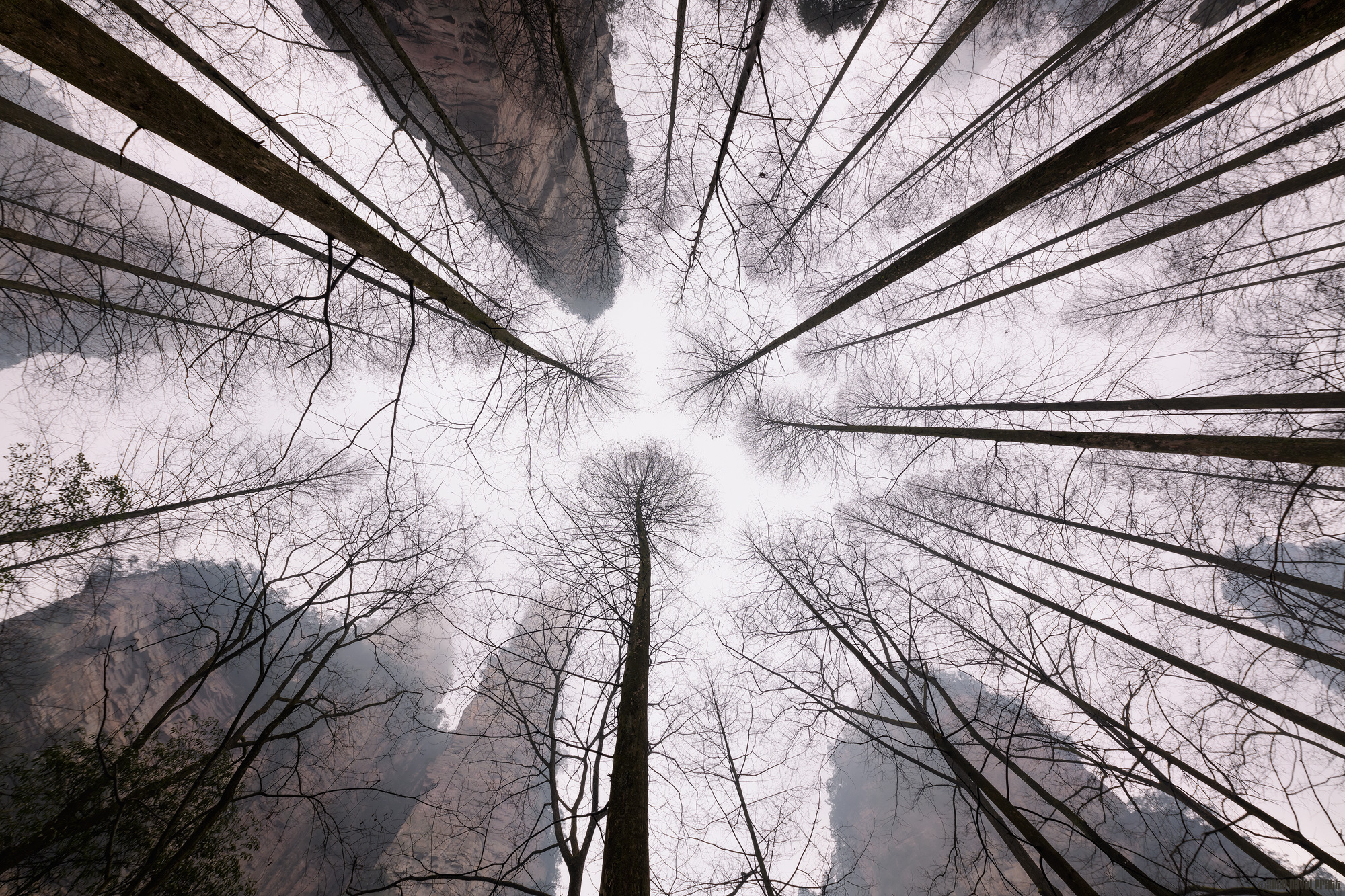 Lean Back and Look Up