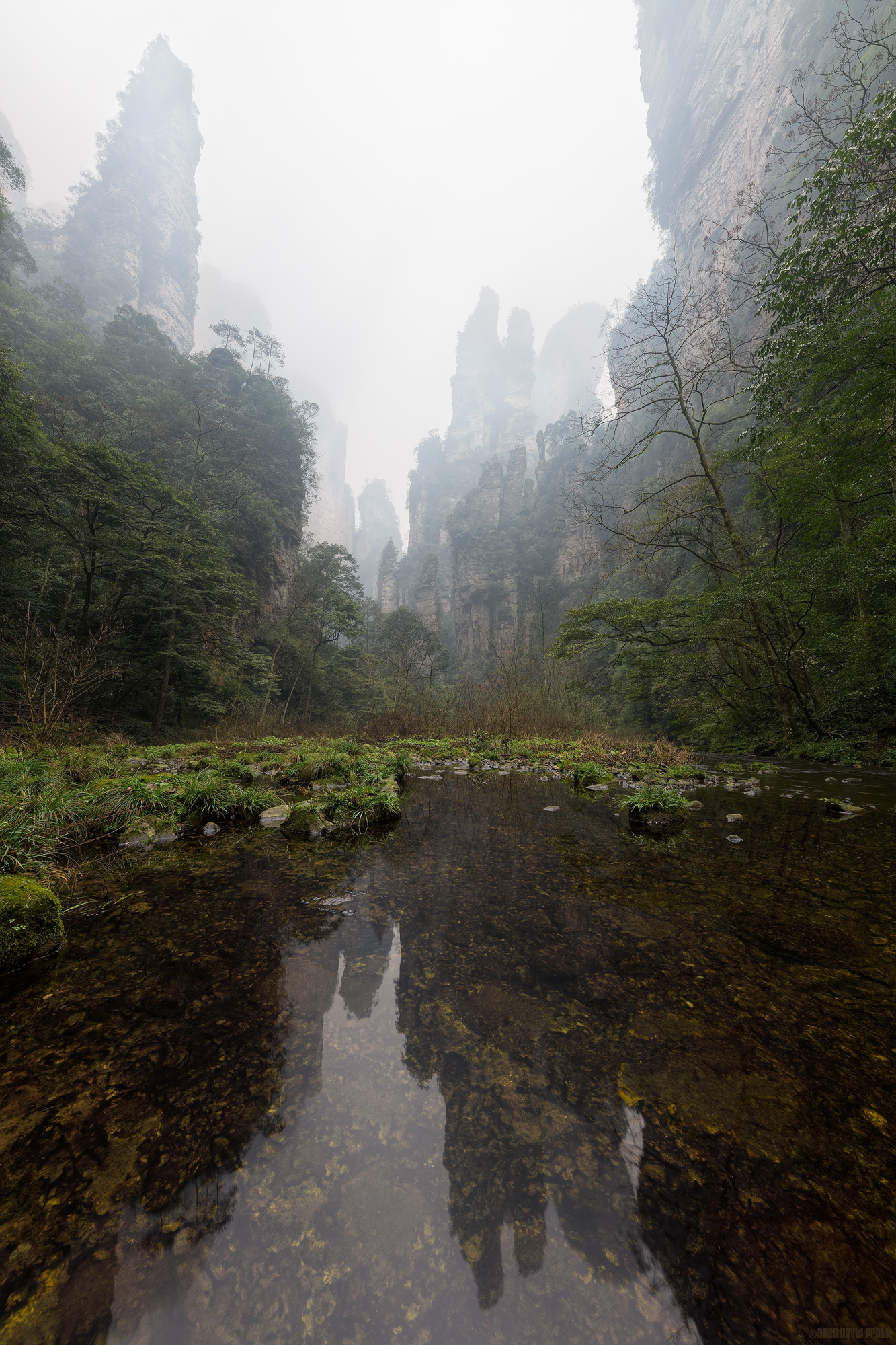 Deep In The Sandstone Jungle