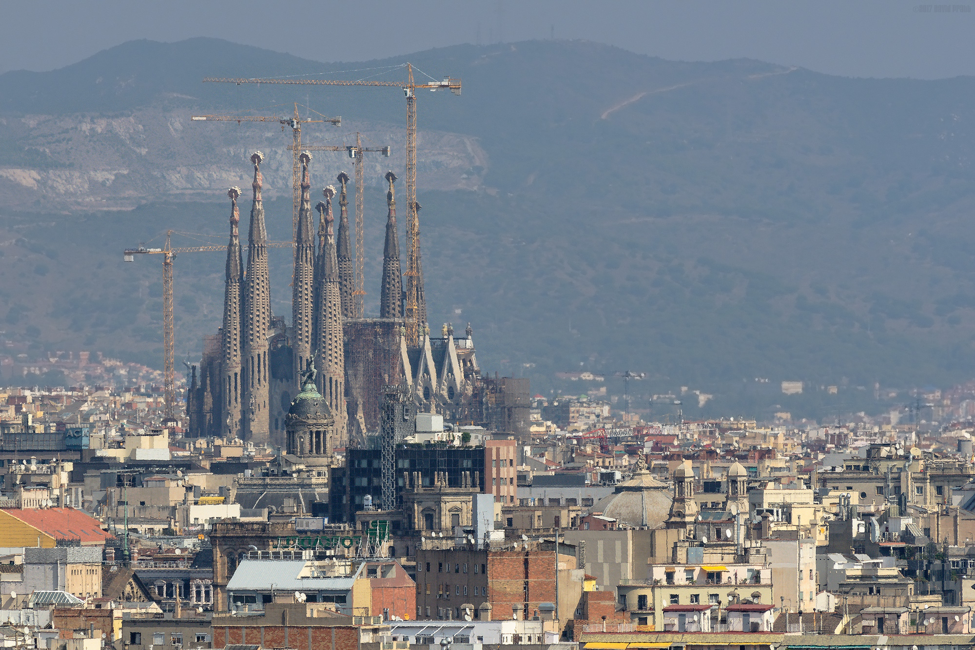 Shimmering In The Heat