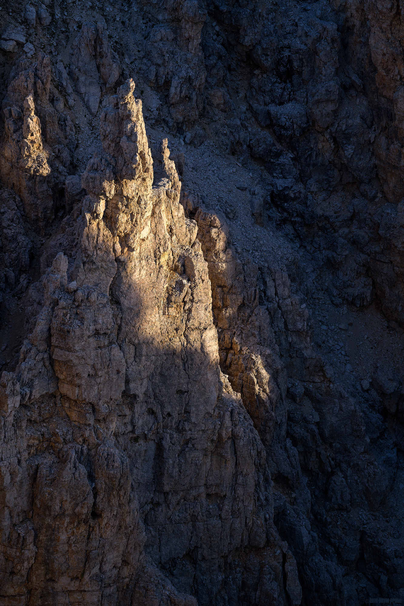 Shapes In The Shadows