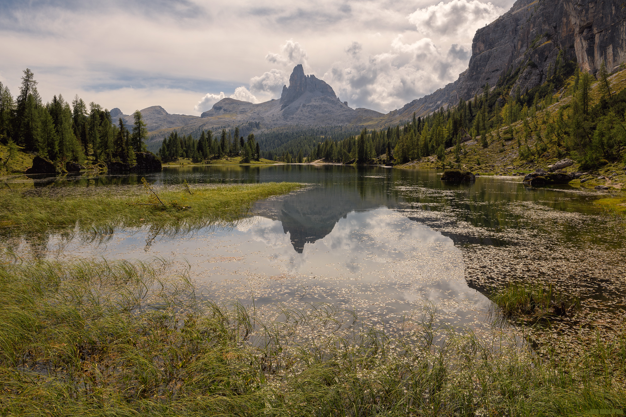 A Little Slice Of Paradise