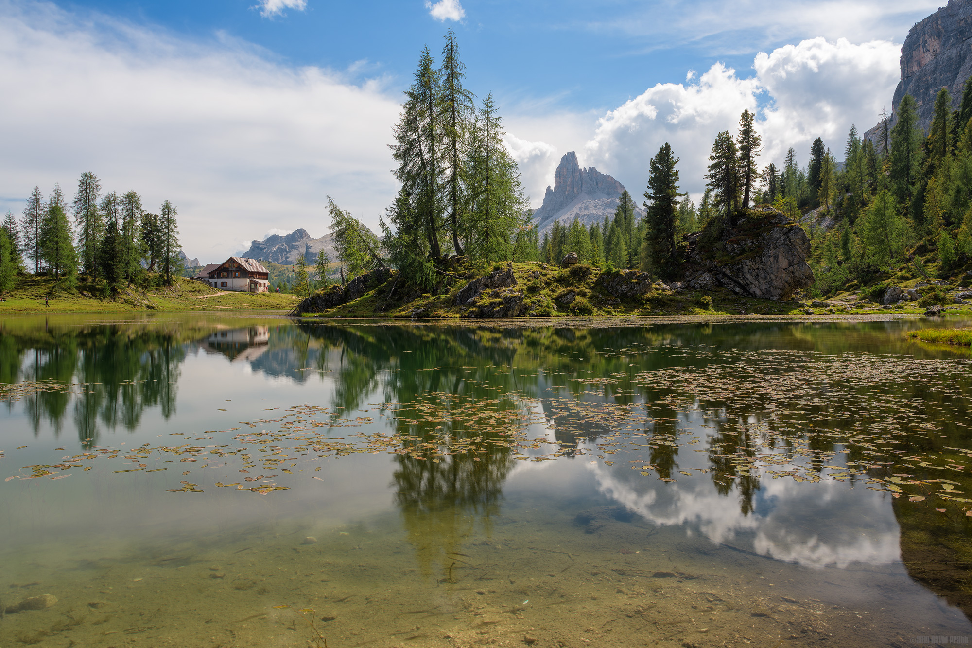 A Refuge In Paradise