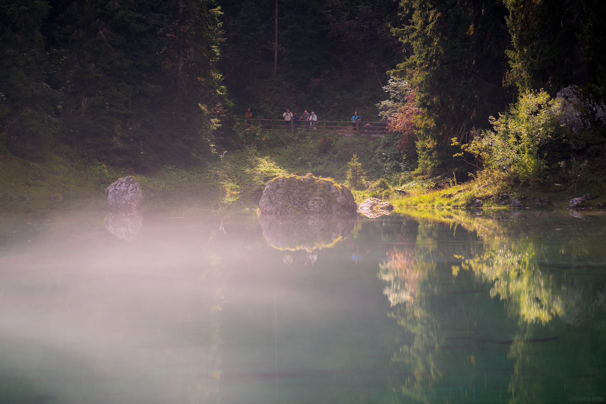 Watching The Mist Rise