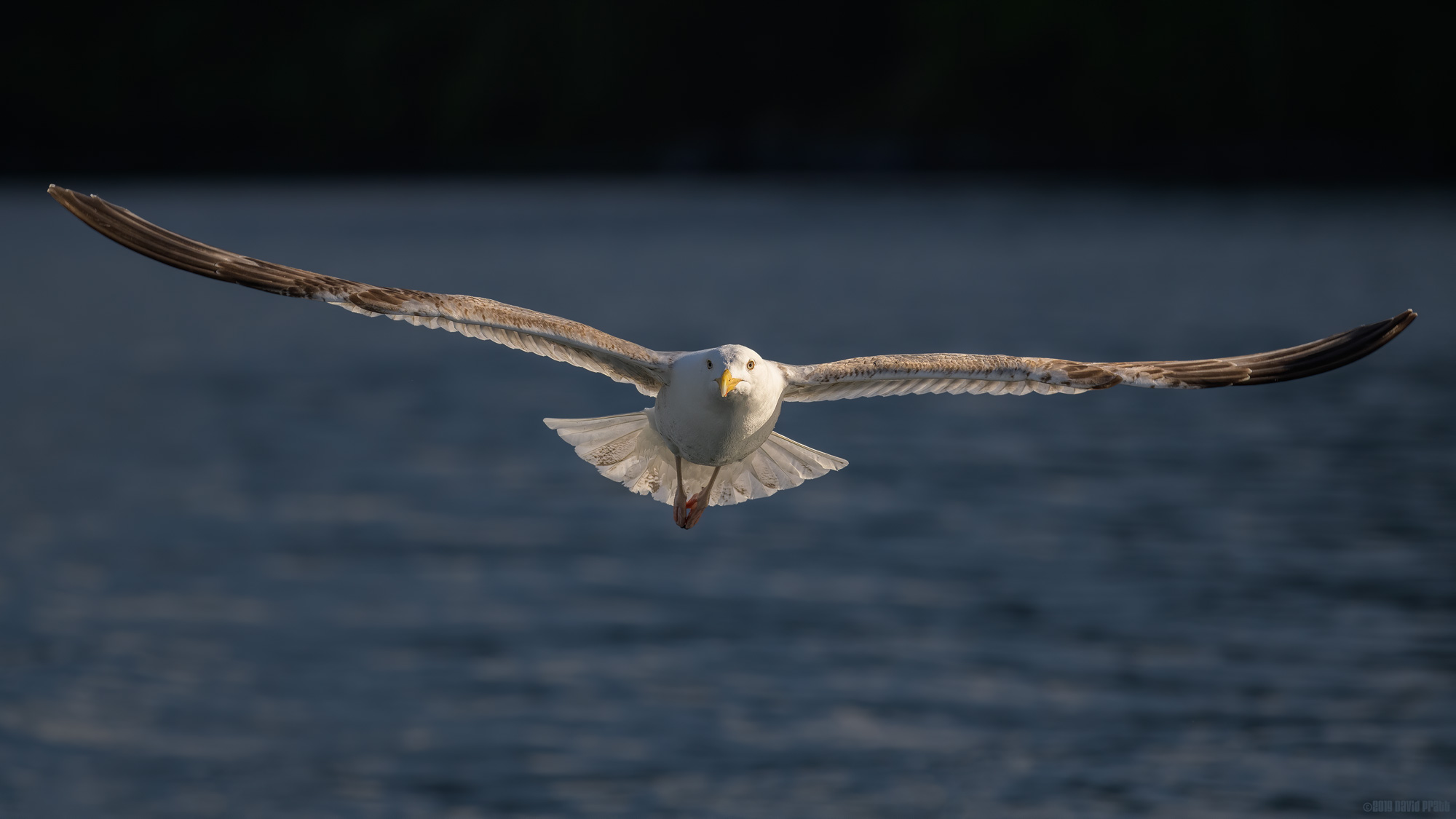 Floating In The Light