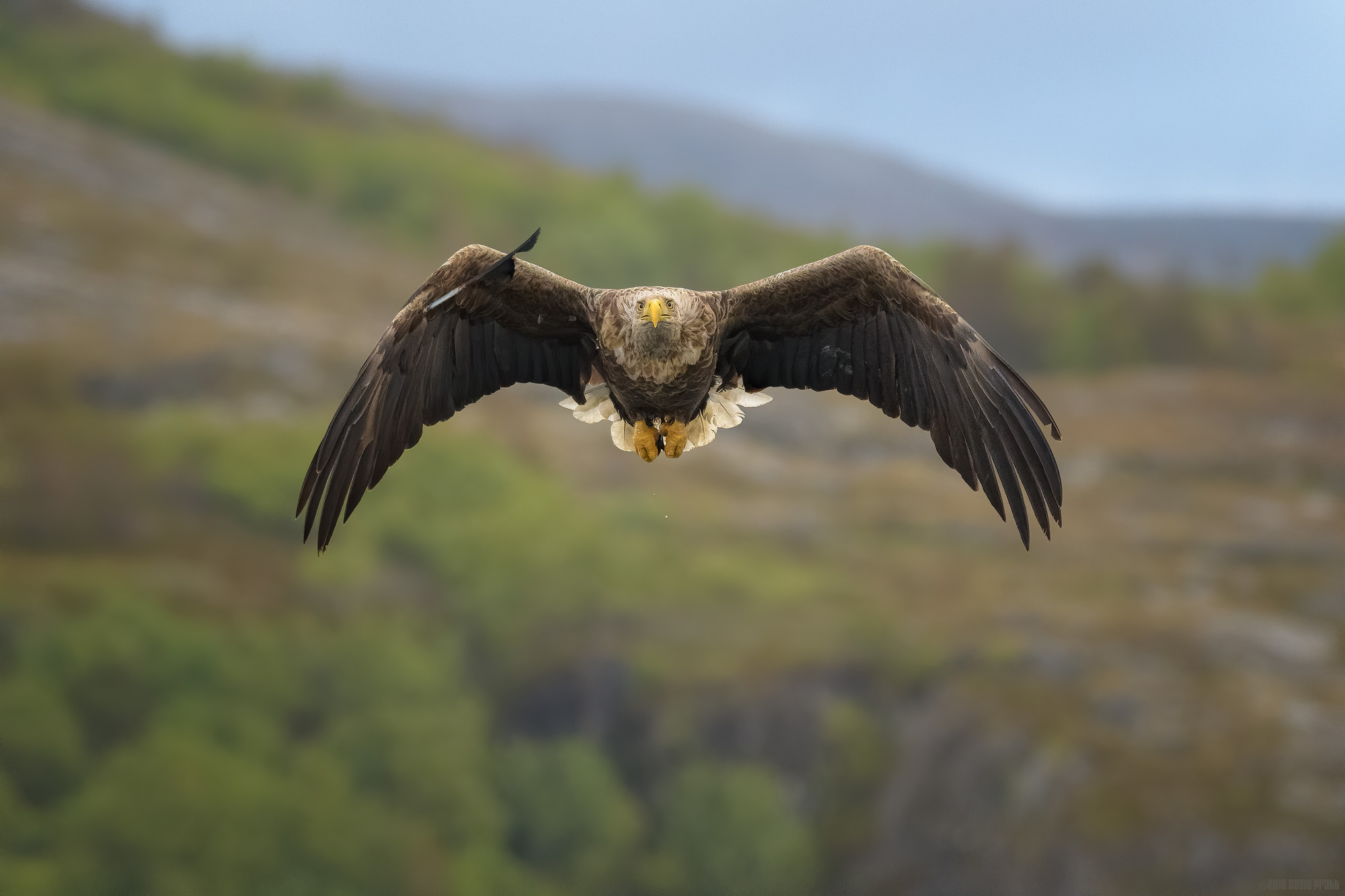 There May Be Trouble Ahead