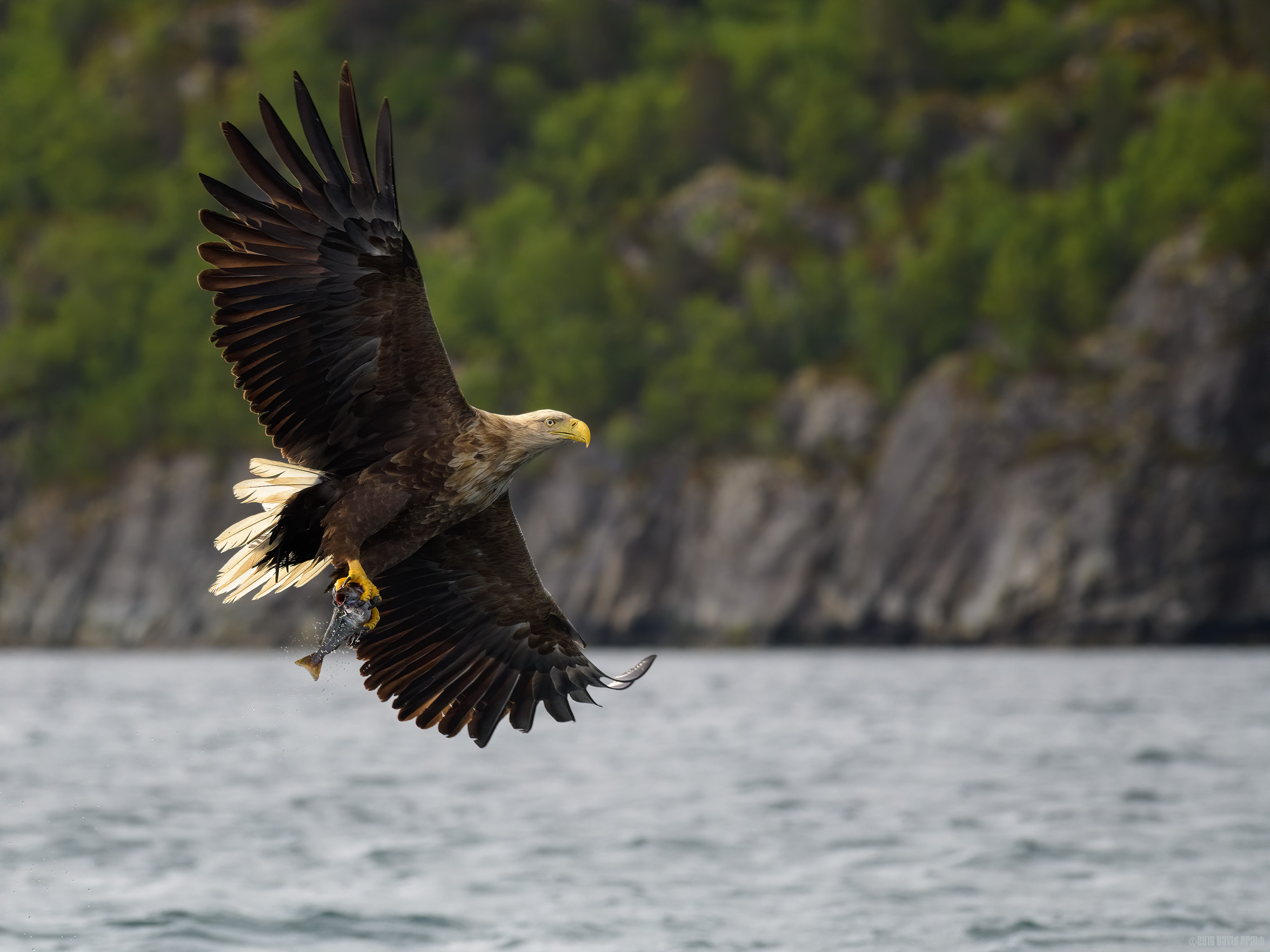 That's Breakfast In The Bag