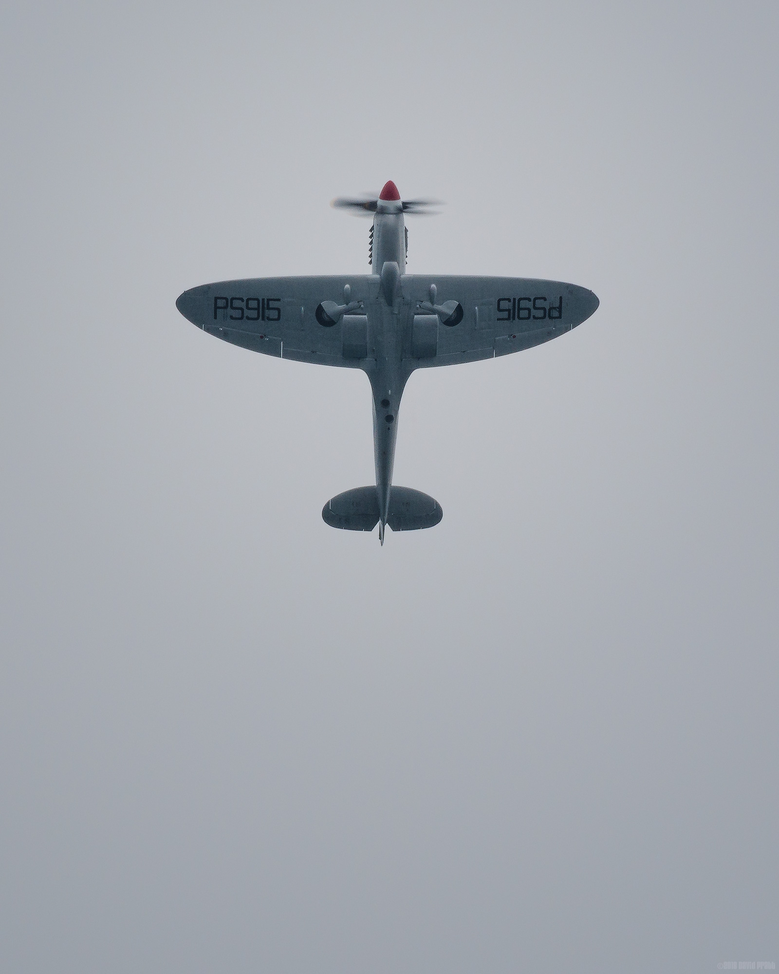 Straight Up Spitfire