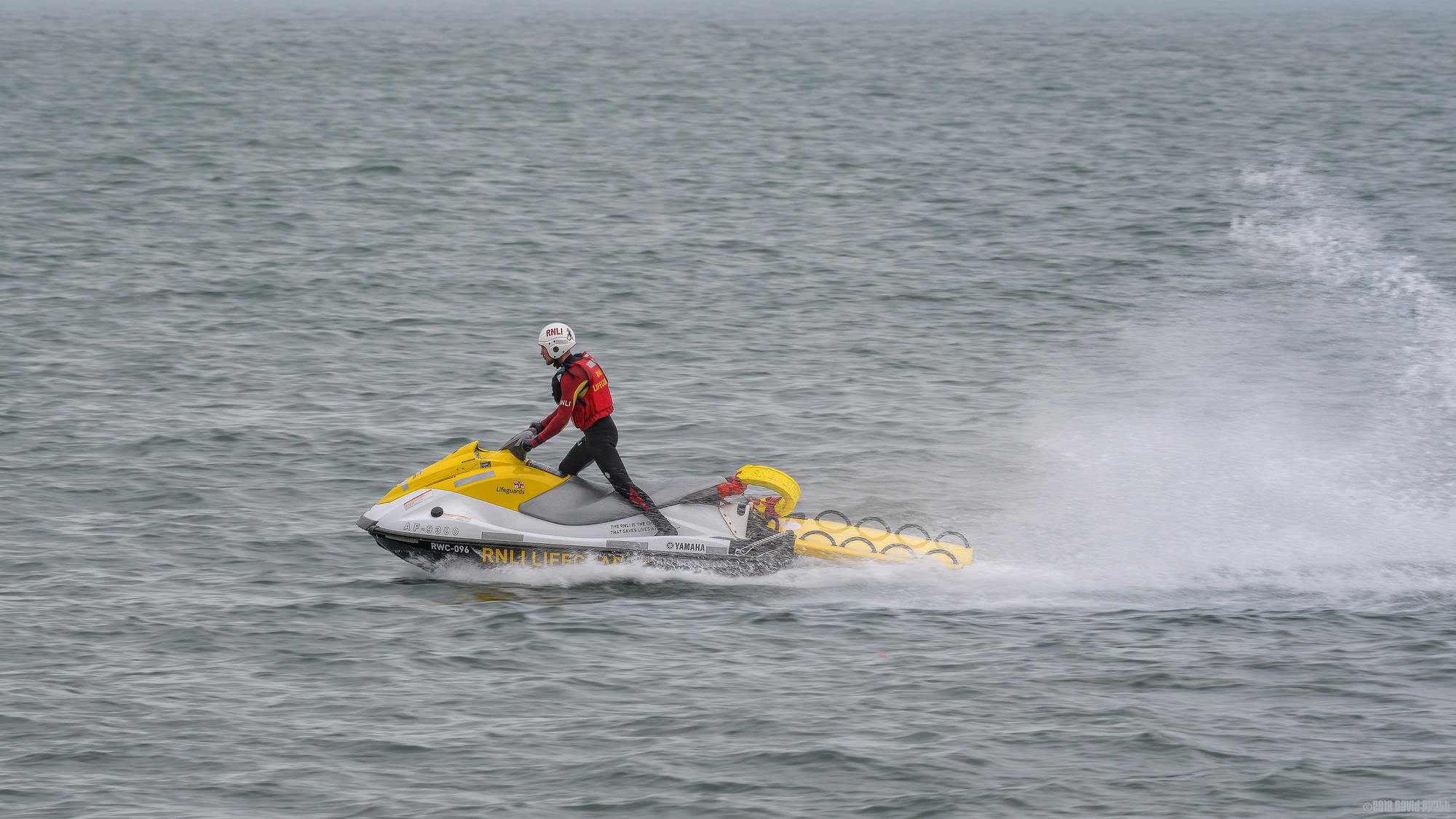 Springing Into Action