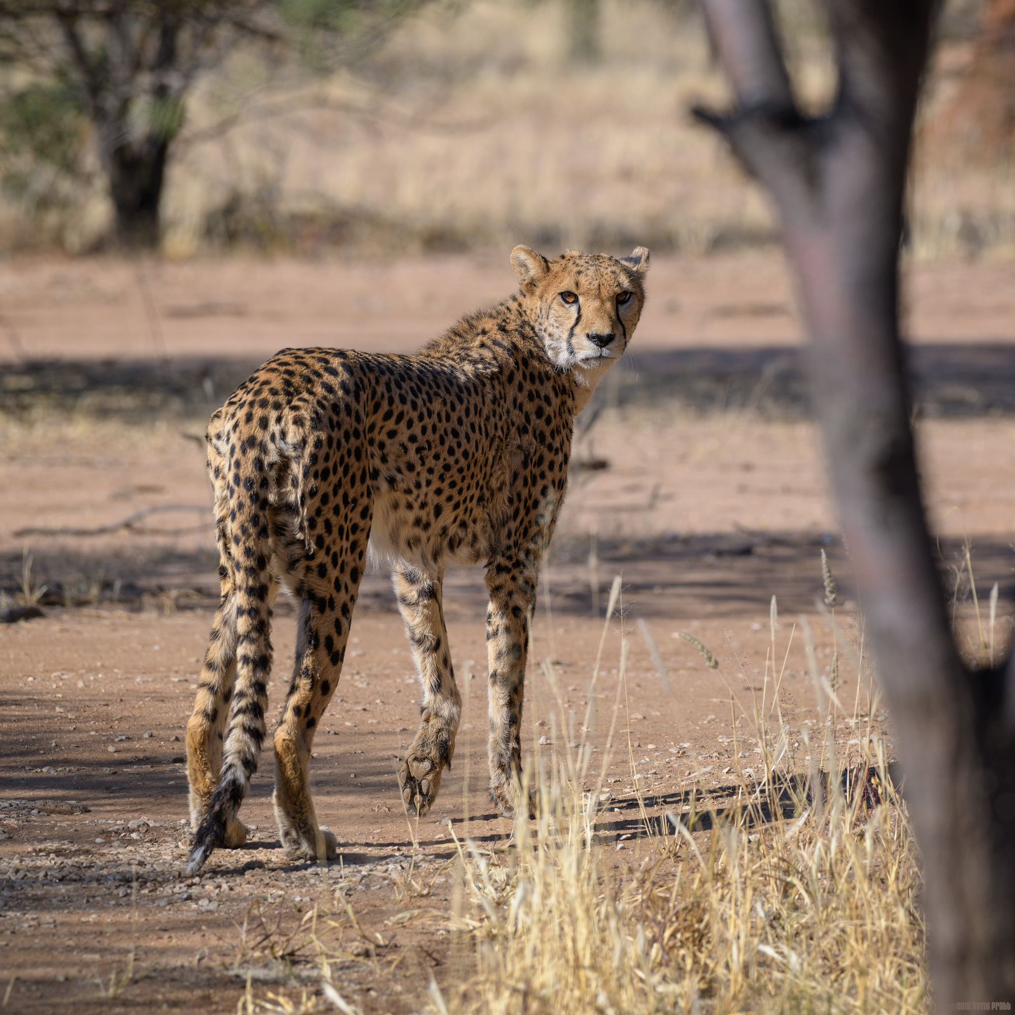 Stop and Look Around