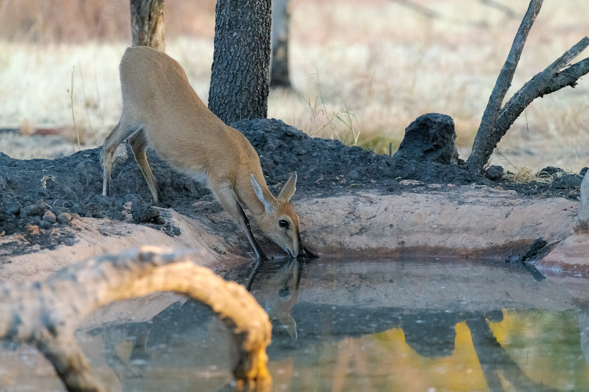 One Last Drink Before Sundown