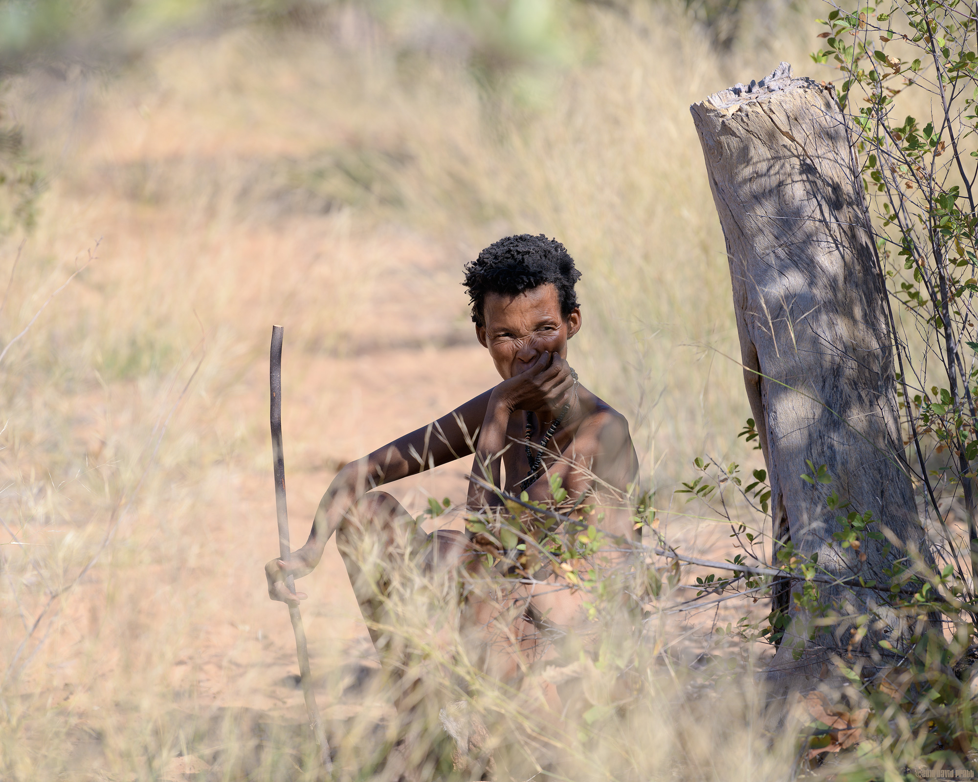 Waiting In The Wings