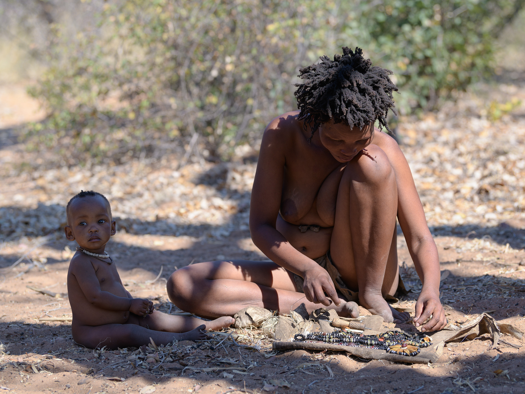 Sitting In Some Shade