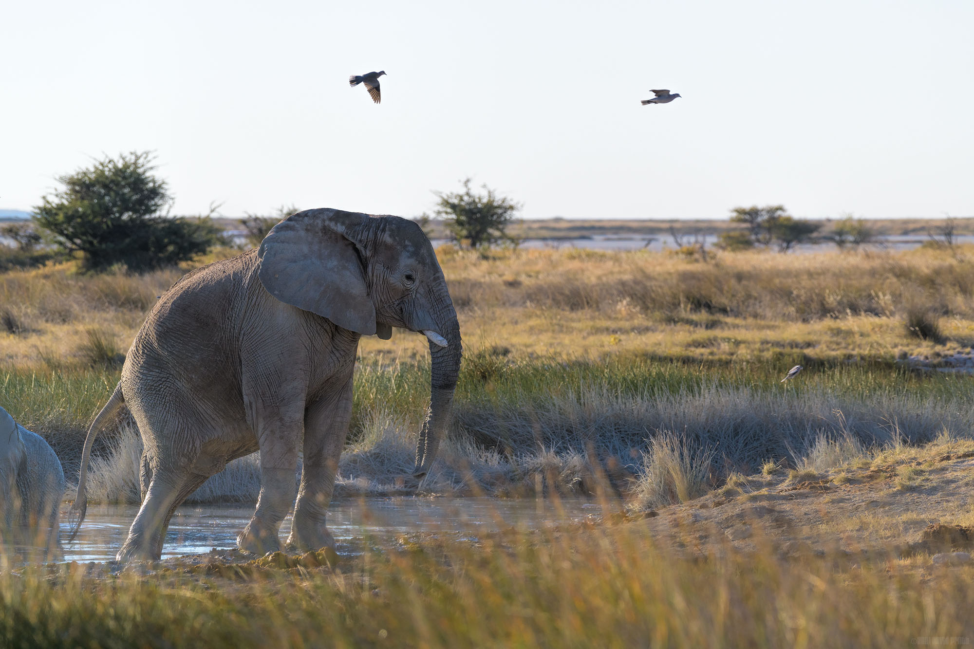 Stepping Out Of The Tub