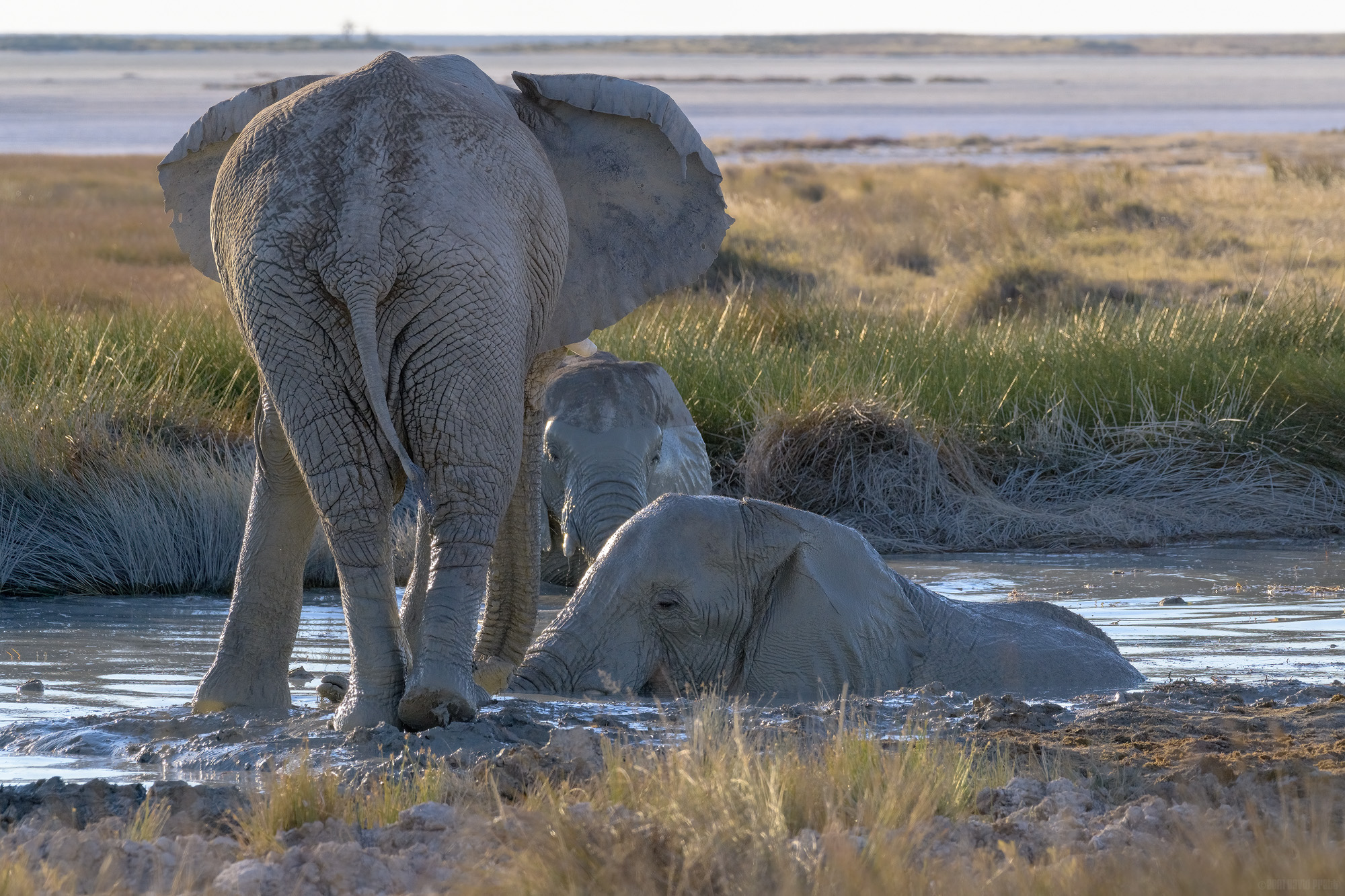 Two's Company, Three's A Crowd