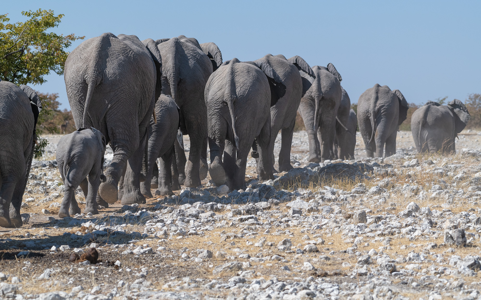 Marching Away