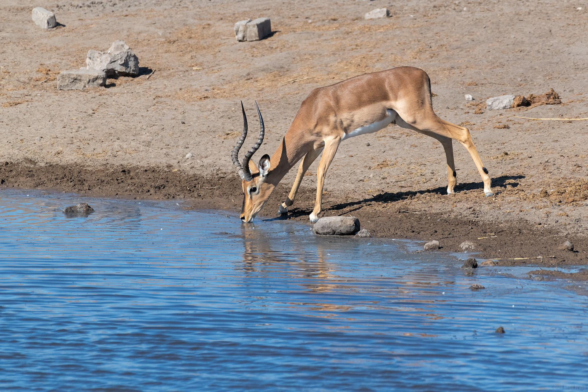 Eyes and Ears Peeled