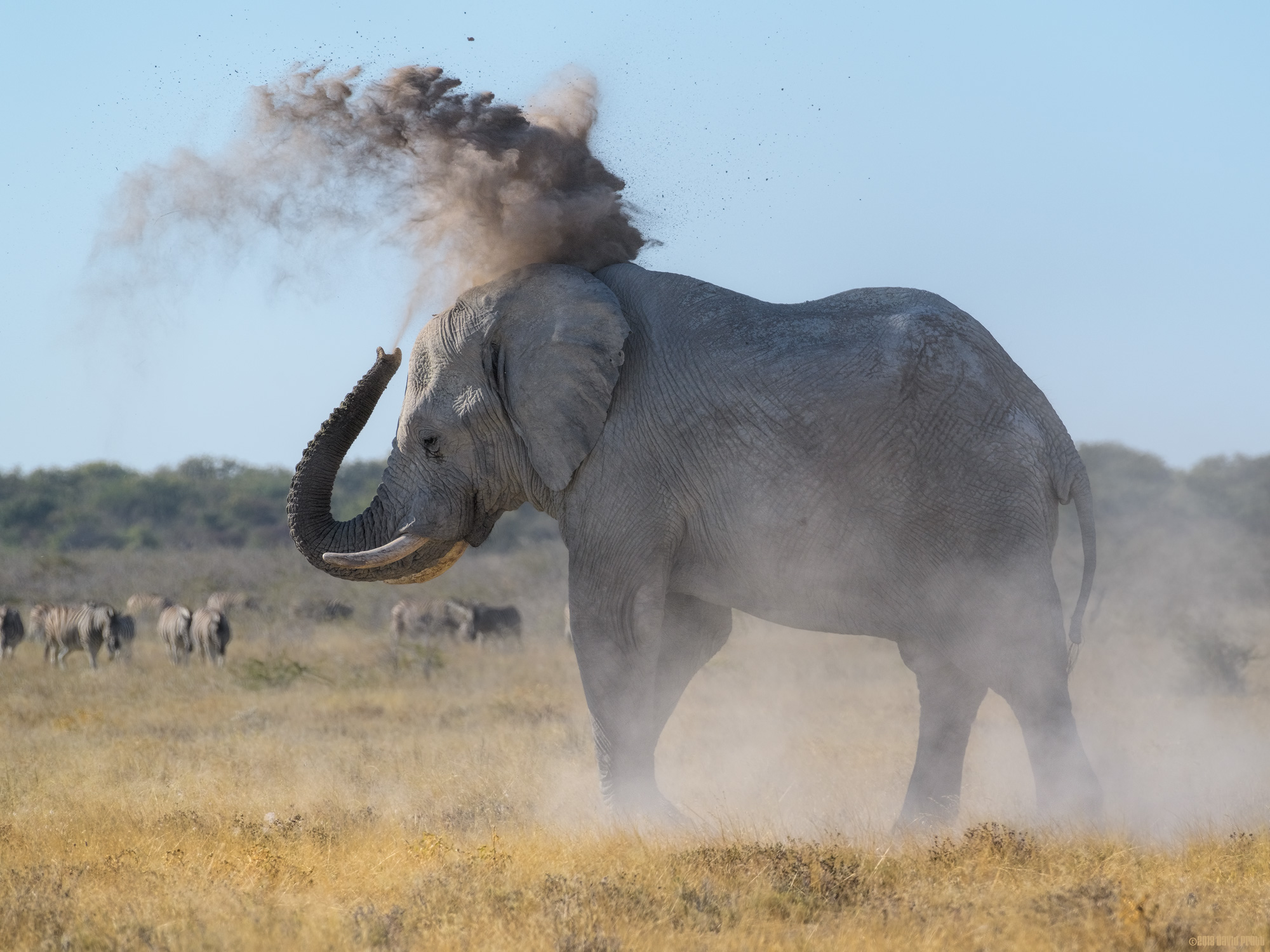 Cooling Off With Some Mud