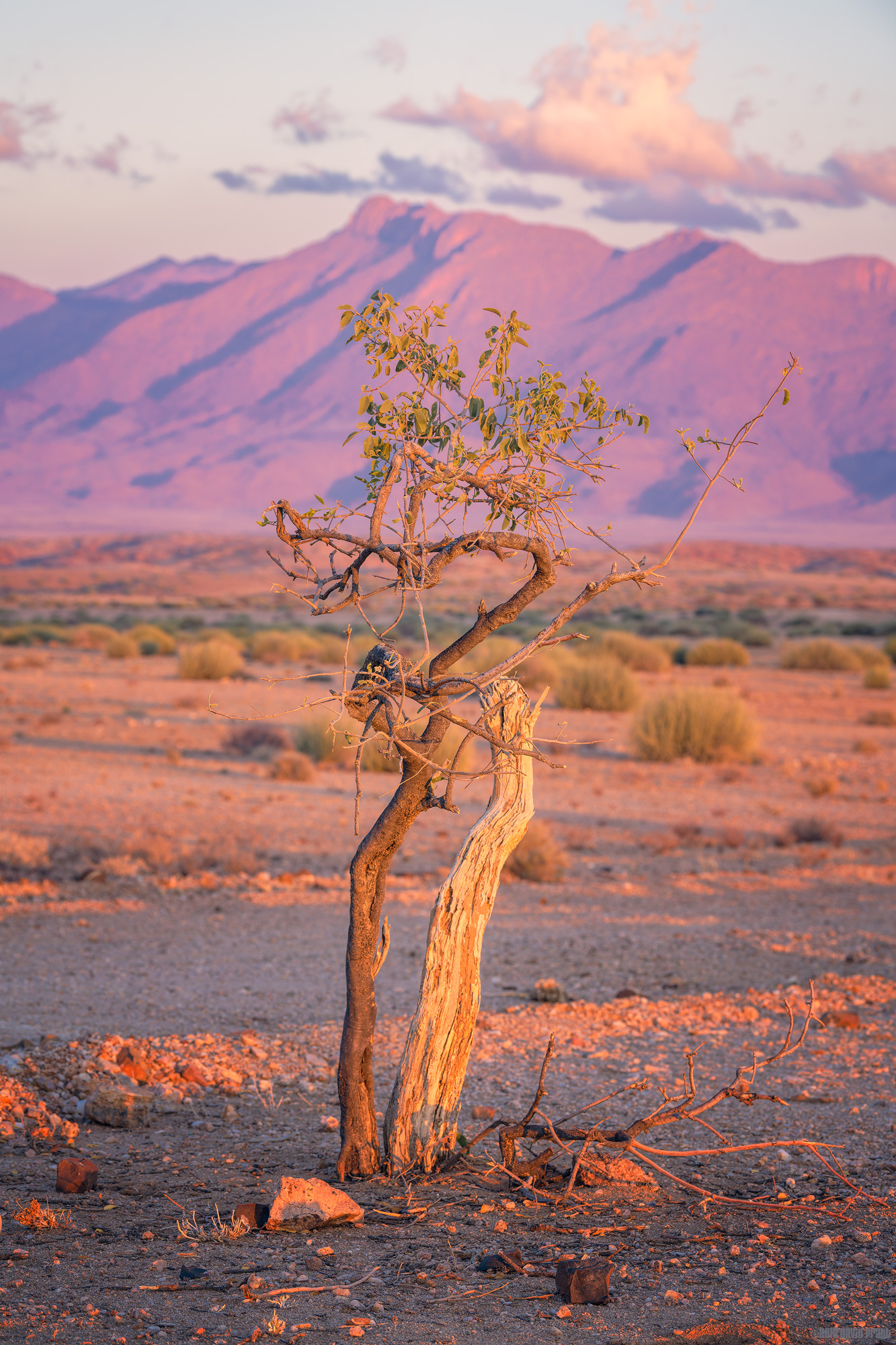 An Inch Between Life and Death