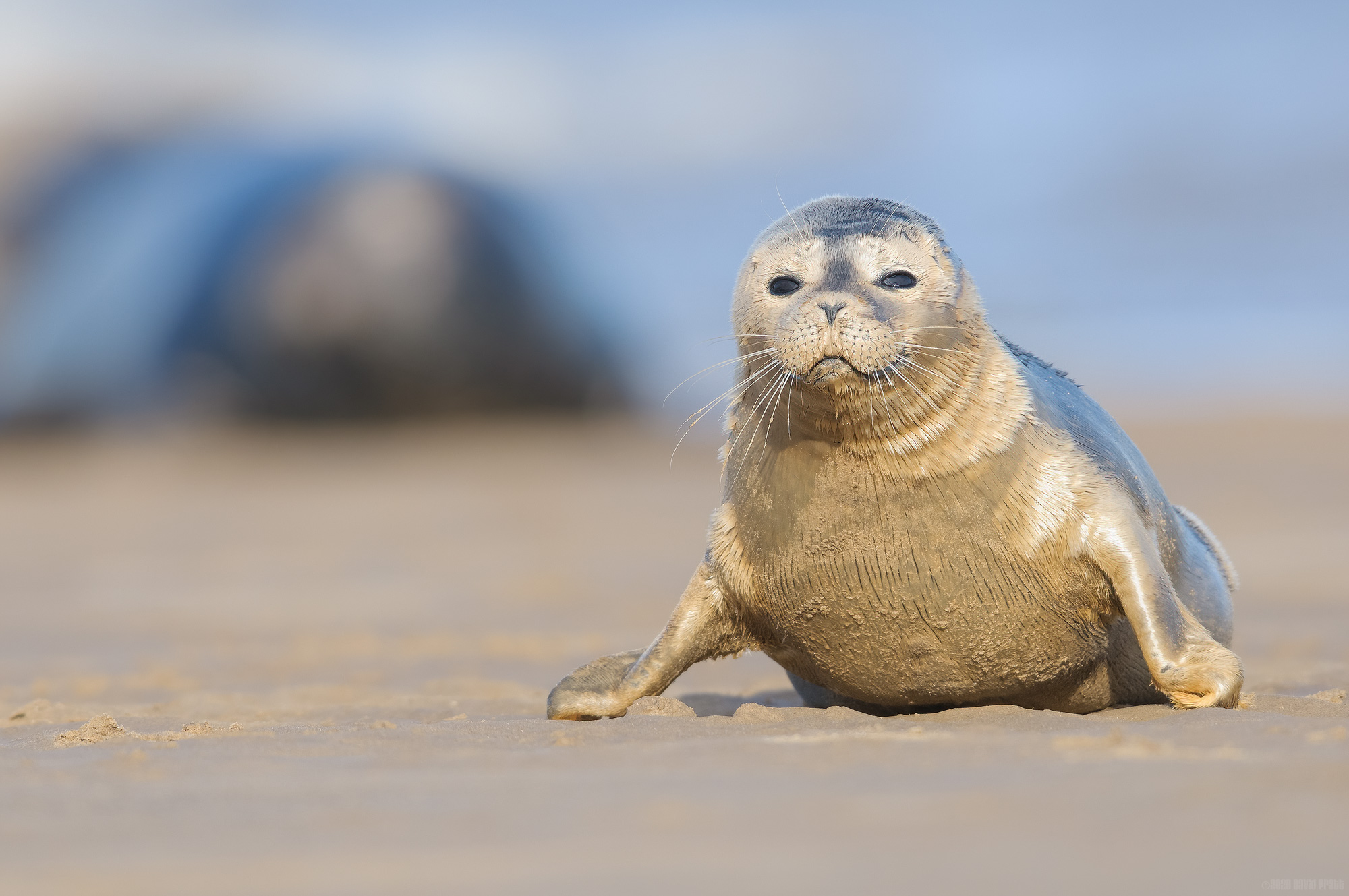 New Kid On The Block