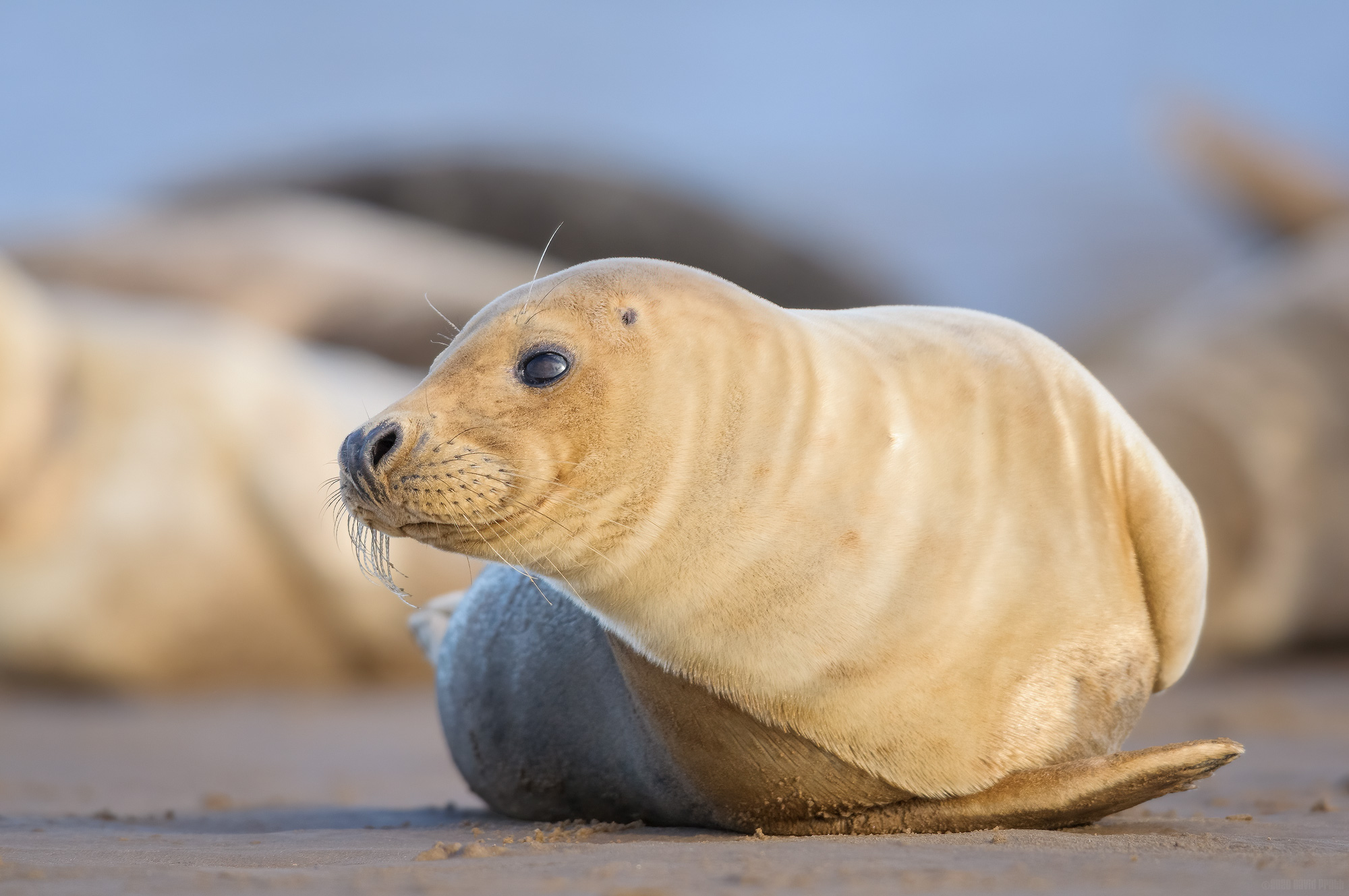 Check Out My Best Side