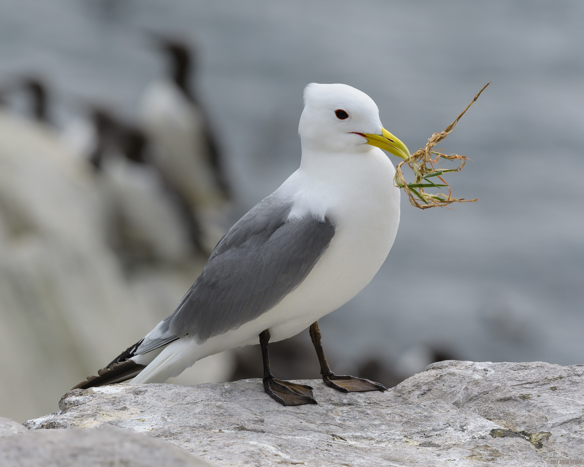 What Do I Do With This Then?