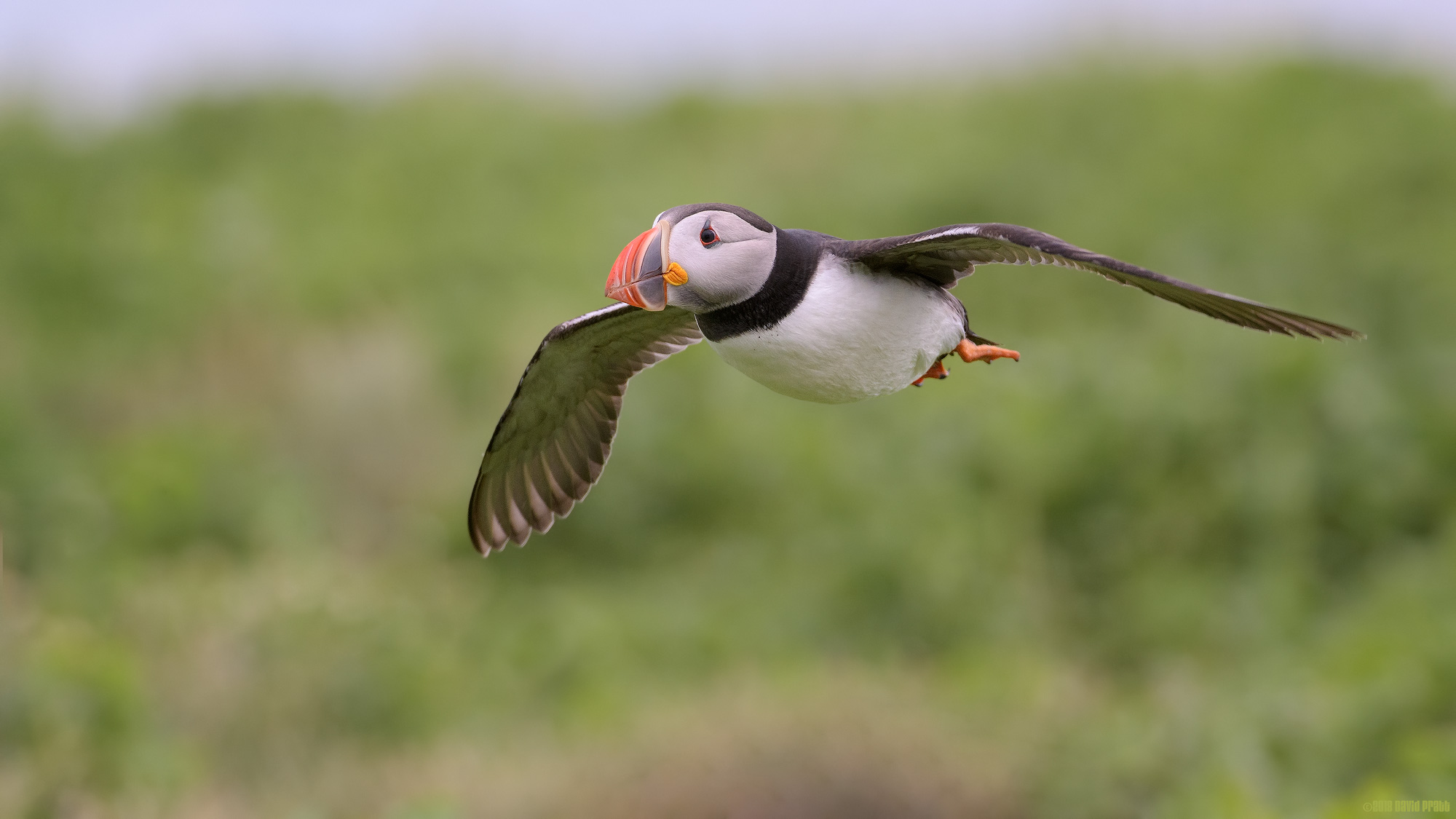 Heading Out For Fish