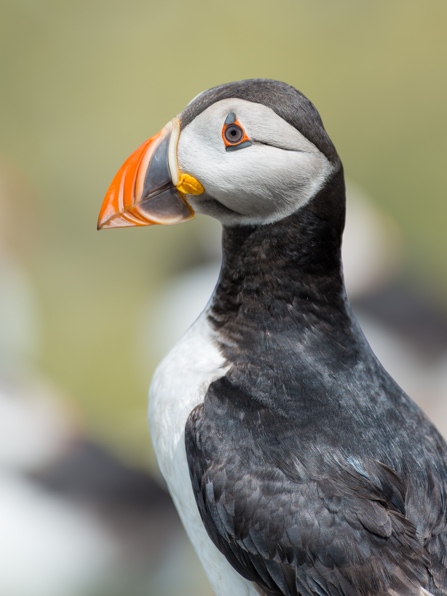 Three Quarter Headshot