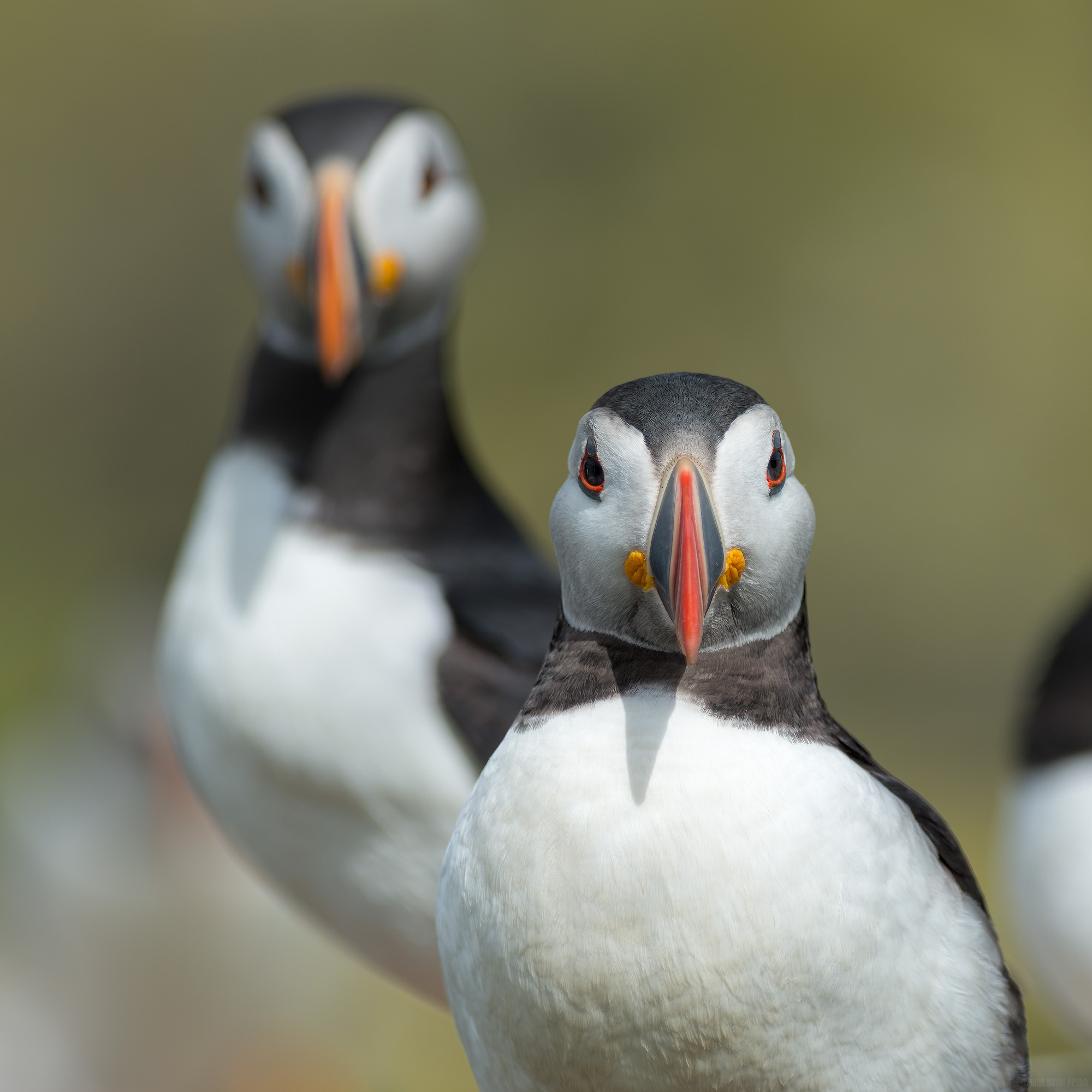 You want trouble? You just found it.