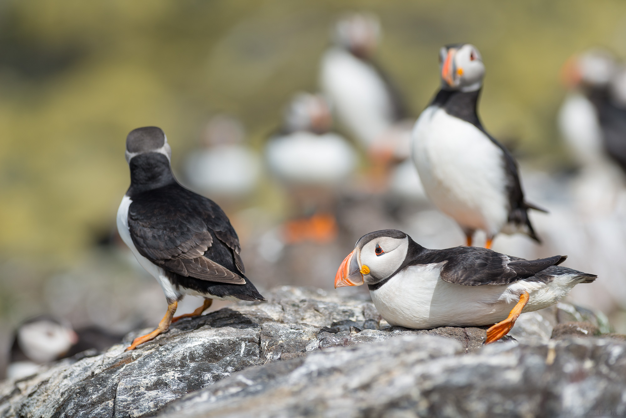 I'm Ok, Just Stretching My Leg